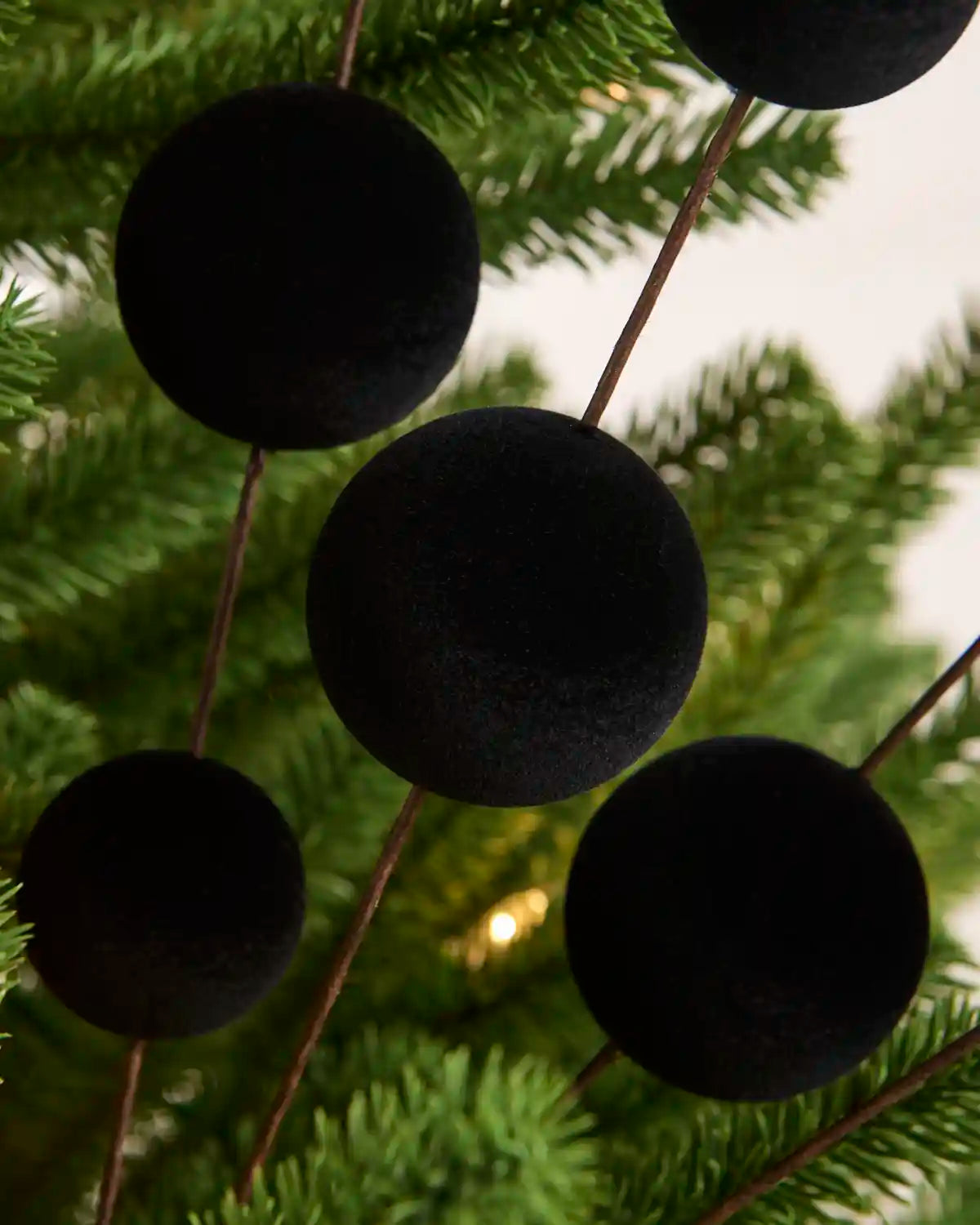 Black velvet bauble Christmas tree pick on thin brown stems, shown hanging against green pine tree branches with a soft white background.