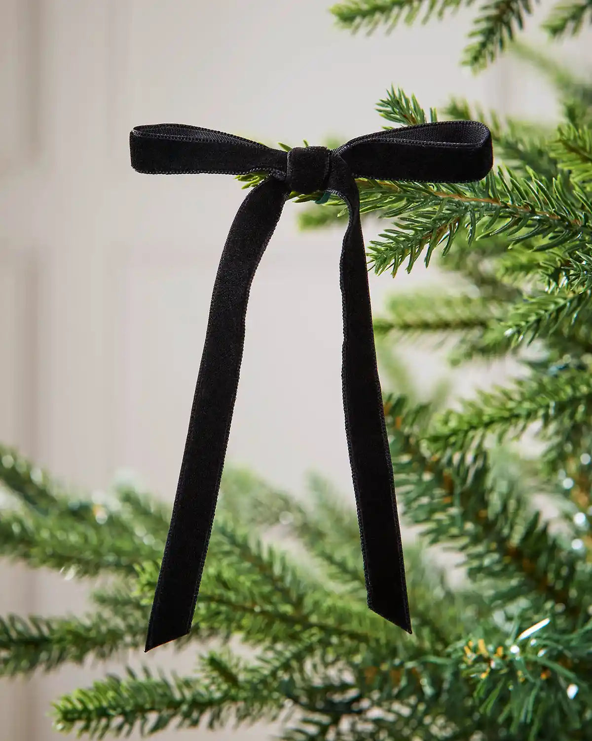 A single black velvet bow on a Christmas tree branch in front of a white background