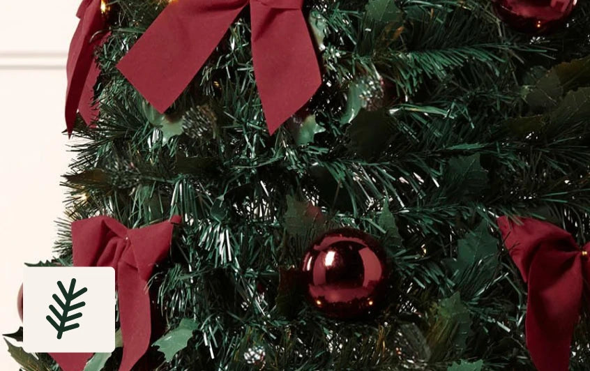 <strong>Decorated</strong>