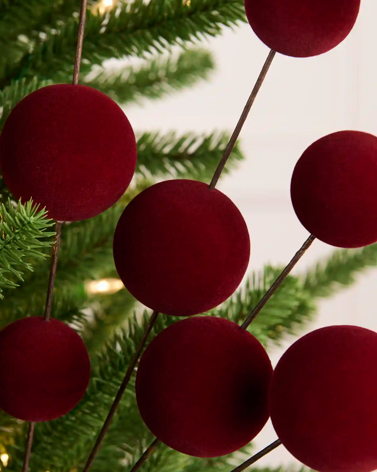 Burgundy velvet Christmas berry pick with multiple round burgundy balls on thin dark stems, styled on a green pine tree branch against a light cream panelled wall.