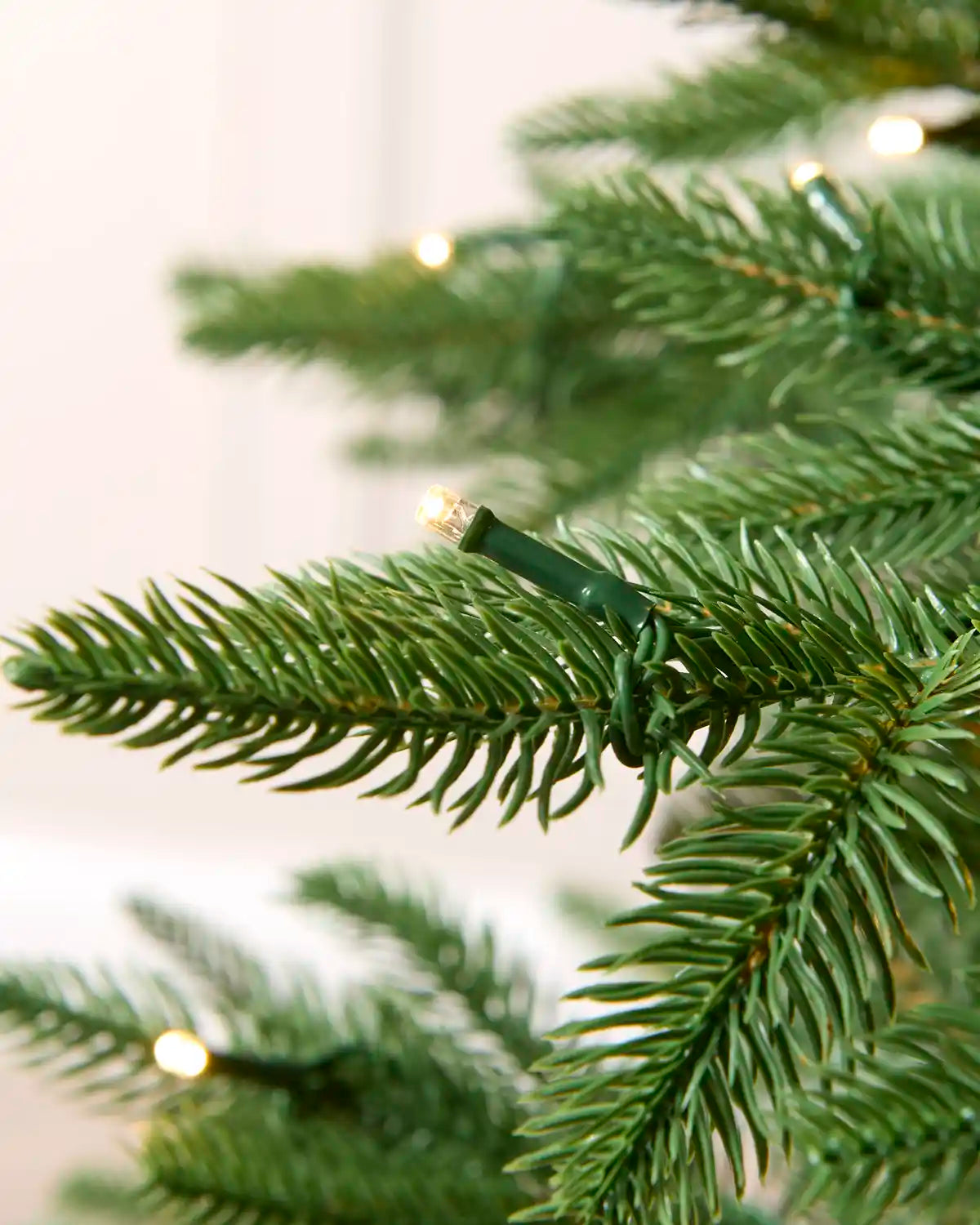 Close-up of green Christmas tree branches with warm white string lights wrapped around them, photographed against a softly blurred light background.