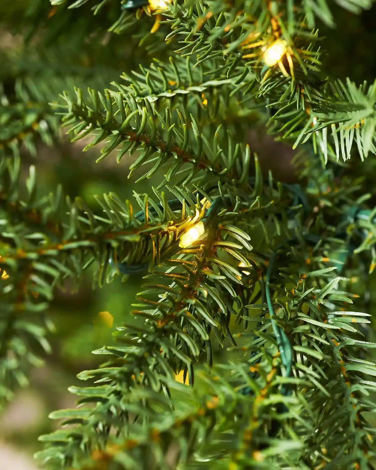 Close-up of PVC and PE tips on an 9ft Douglas Fir Christmas tree branch with lights
