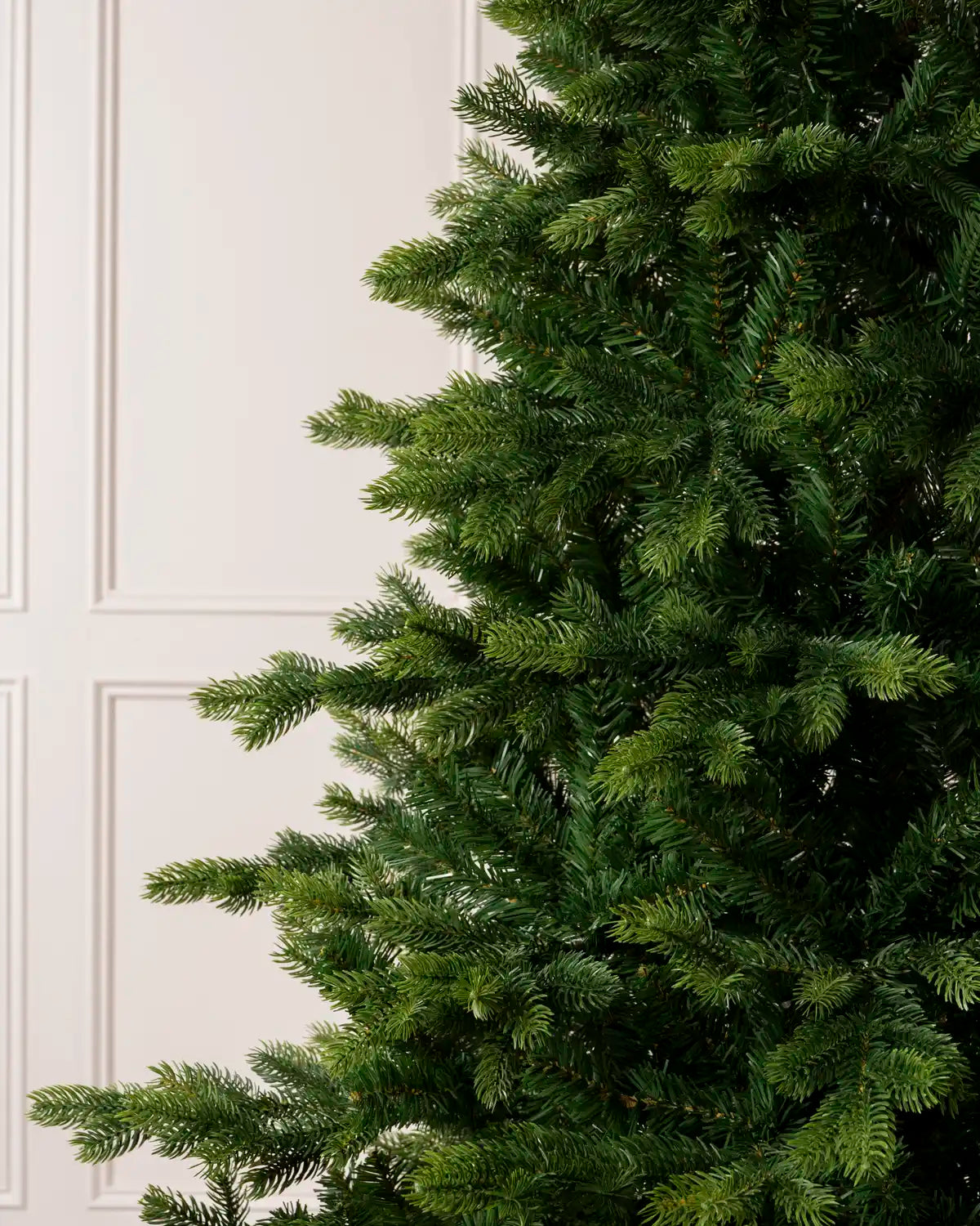 Close-up of a Himalayan Fir Christmas Tree, 5ft with PVC and PE tips 
