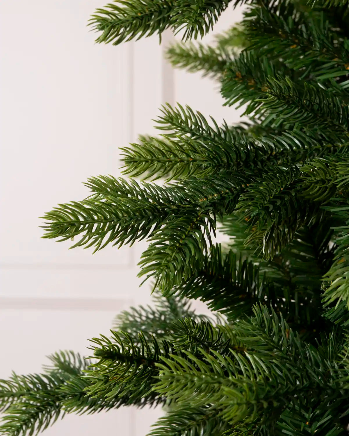 Close-up of a Himalayan Fir Christmas Tree, 5ft showing PVC and PE tips 
