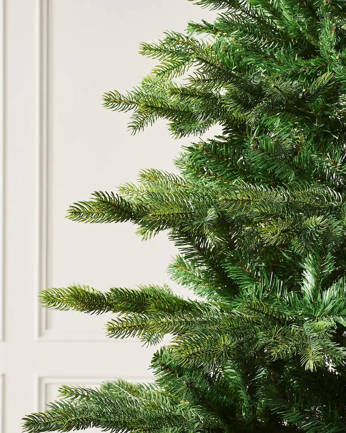 Close-up of a Himalayan Fir Christmas Tree, 5ft with PVC and PE tips 