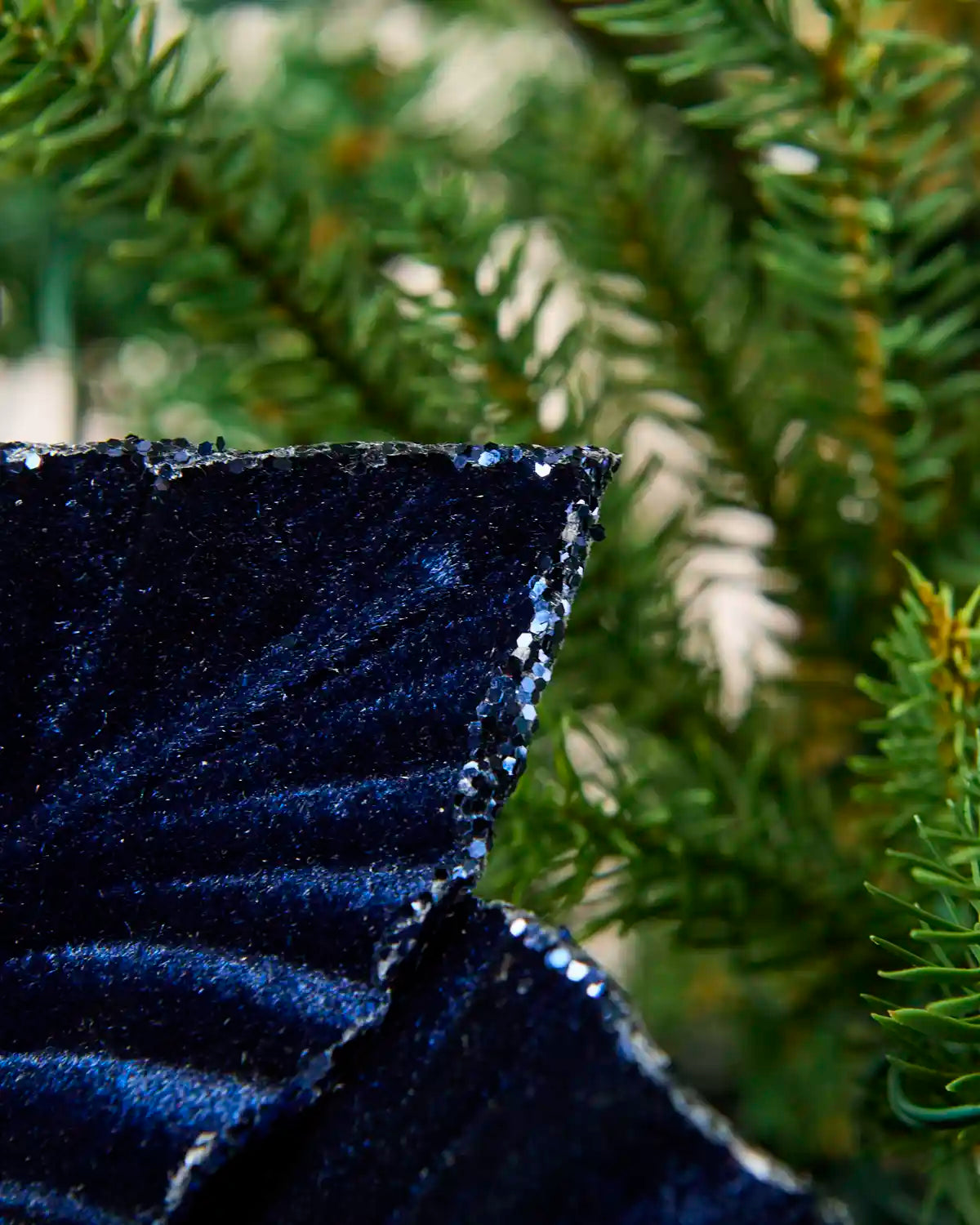 Close-up of a Navy  velvet poinsettia petal with glittered edging