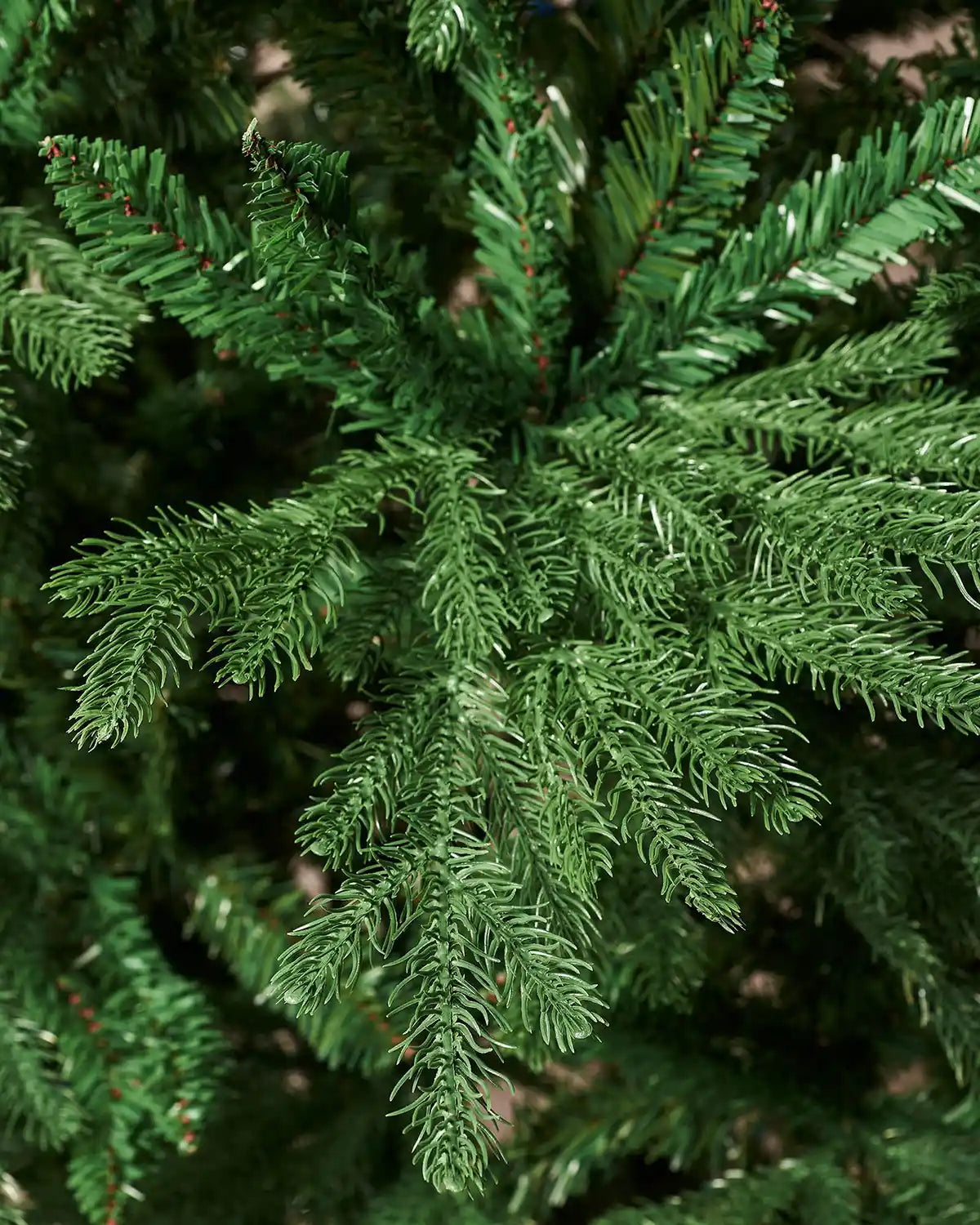 Close-up of a PVC and PE tips green pine tree branch