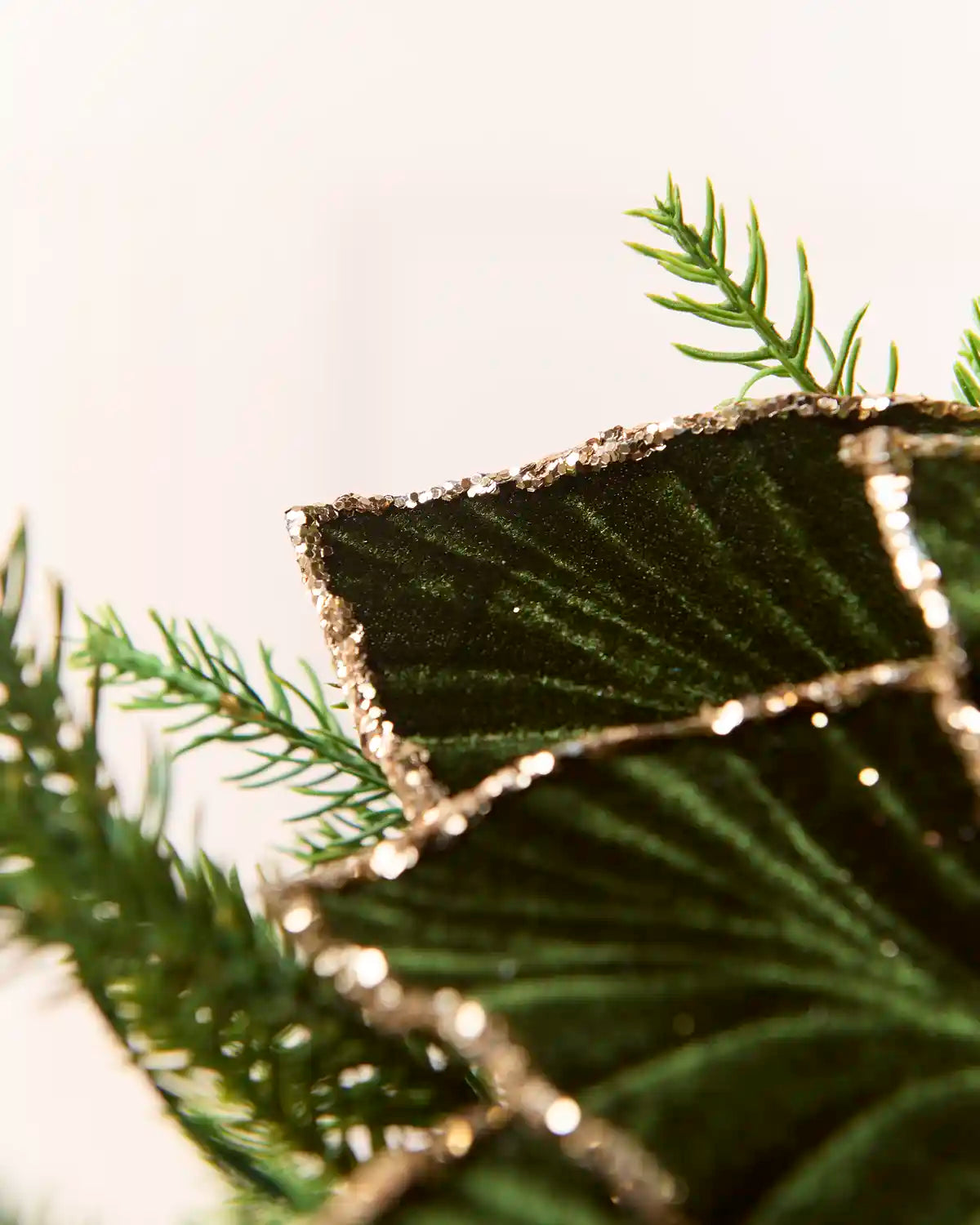 Close-up of a Sage Green velvet poinsettia petal, showcasing its soft texture, detailed veining and shimmering glittered edge