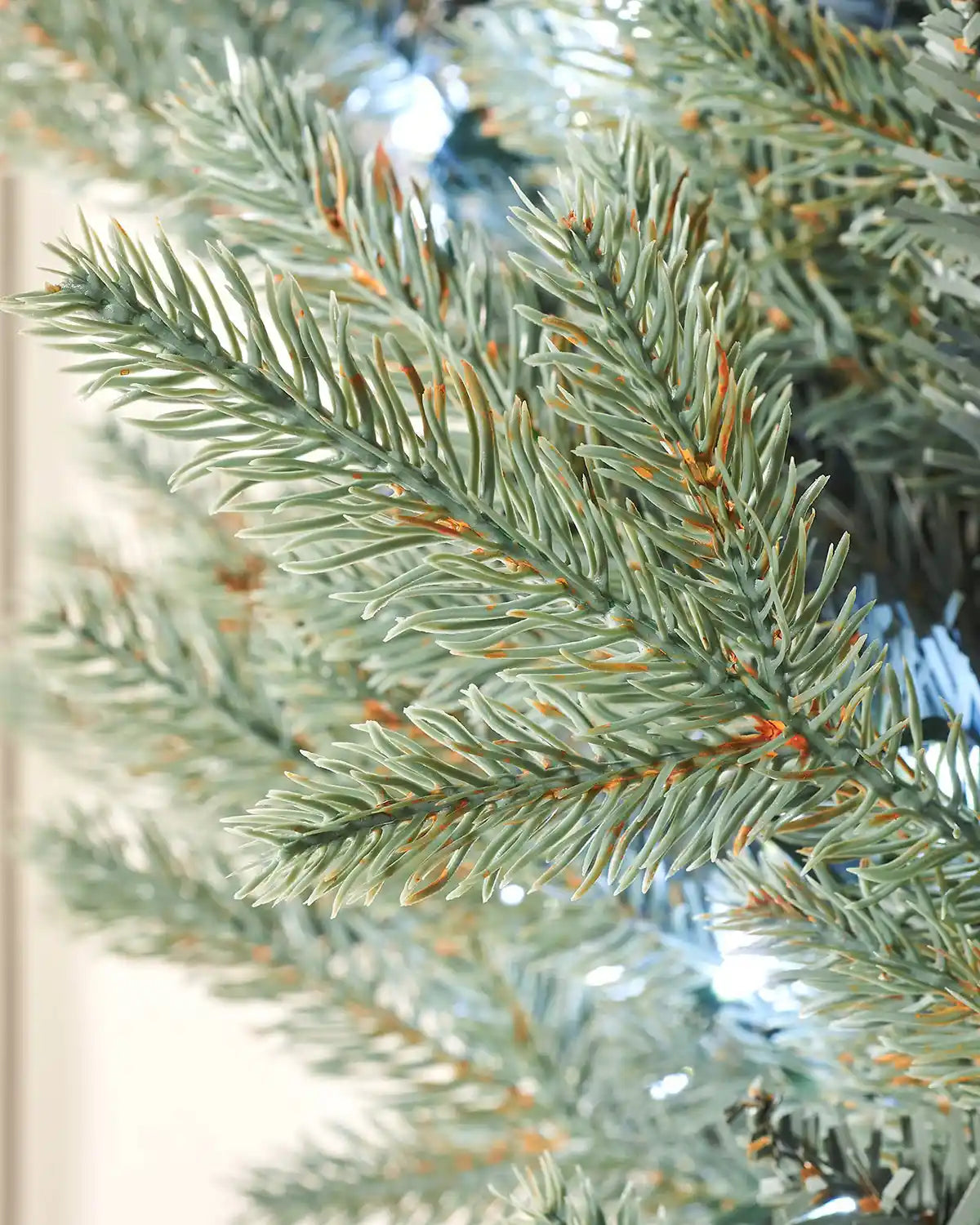 Close-up of a branch of a Christmas tree with a blurred background