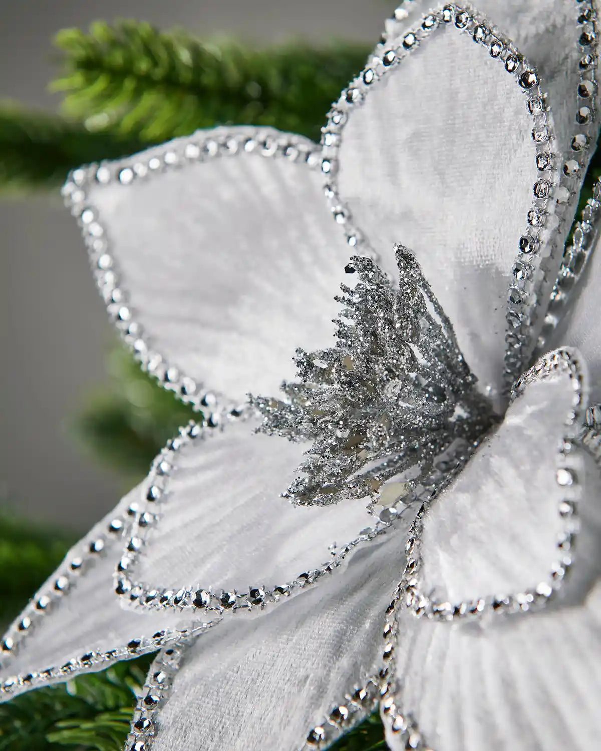Close-up of a decorative White and Silver glitter Poinsettia 