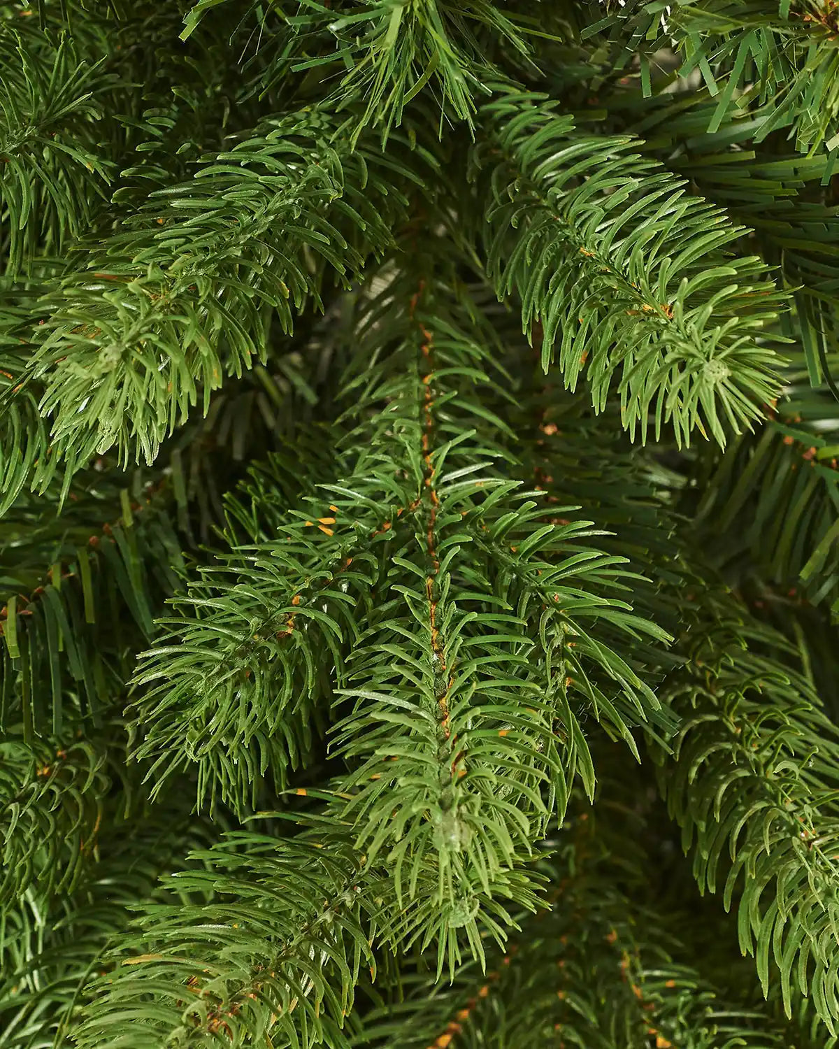 Close-up of a green PVC and PE tips on an artificial Christmas tree branch