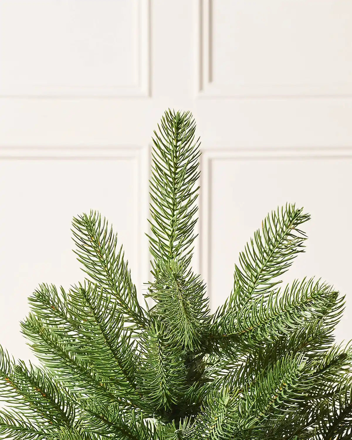 Close-up of a green artificial Christmas tree branch against a white panelled wall.