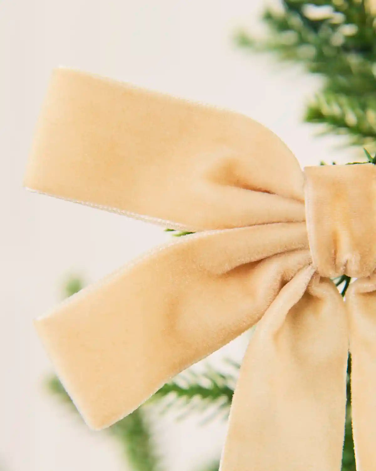 Close-up of a latte velvet double bow showing layered loops, long tails and soft texture.