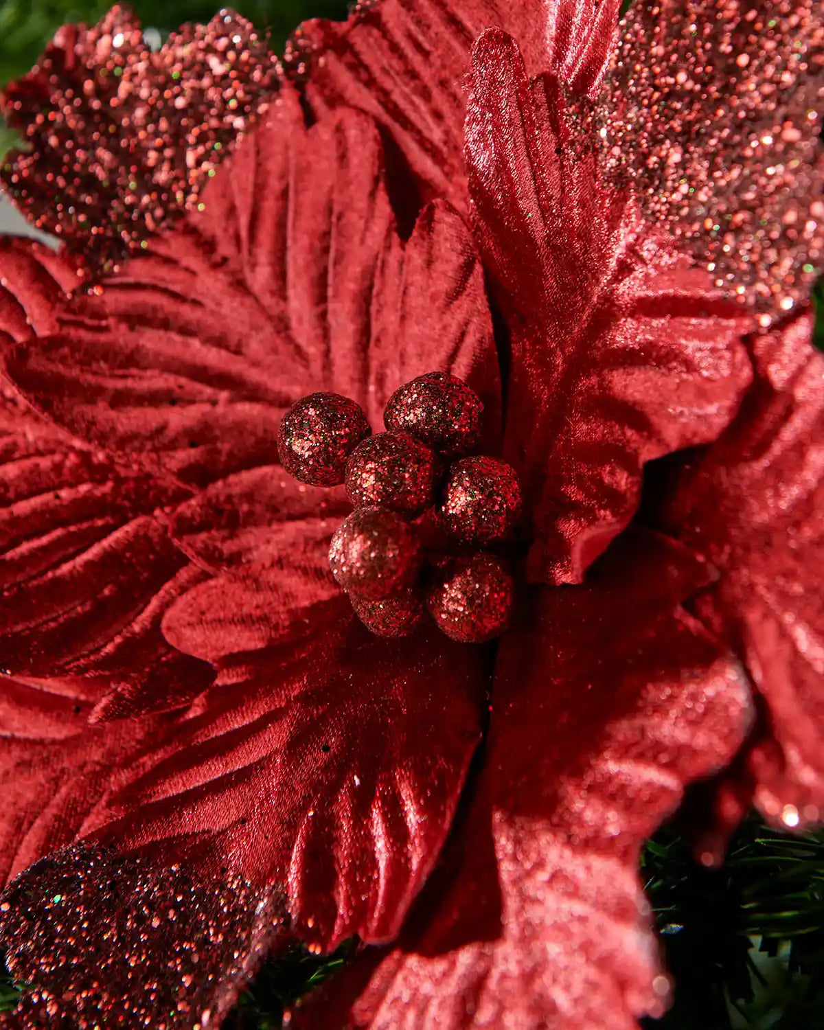 Close-up of a middle of red glittery poinsettia flower with Red glitter berries in middle