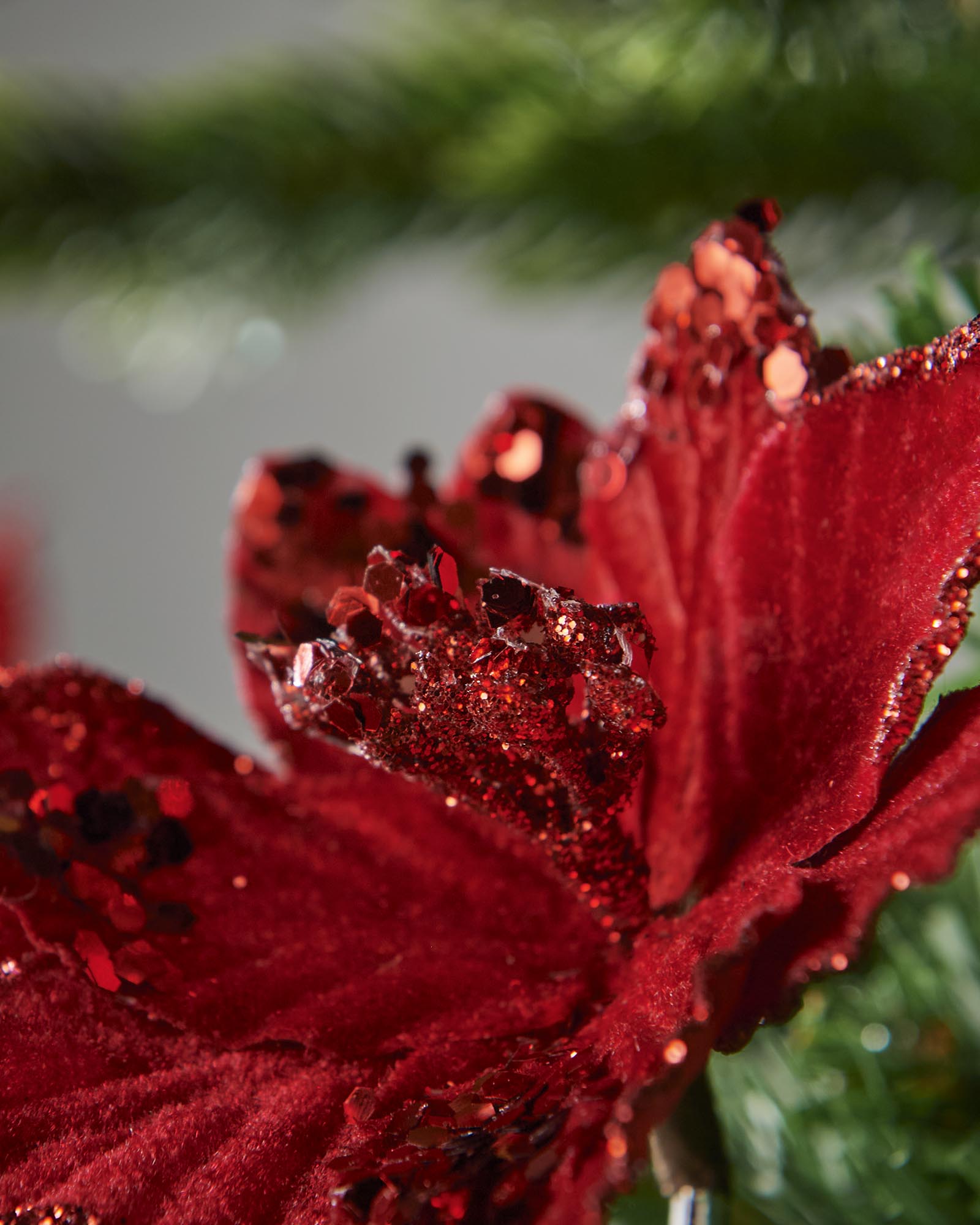 Close-up of a red Poinsettia flower with glittery texture against a blurred green background