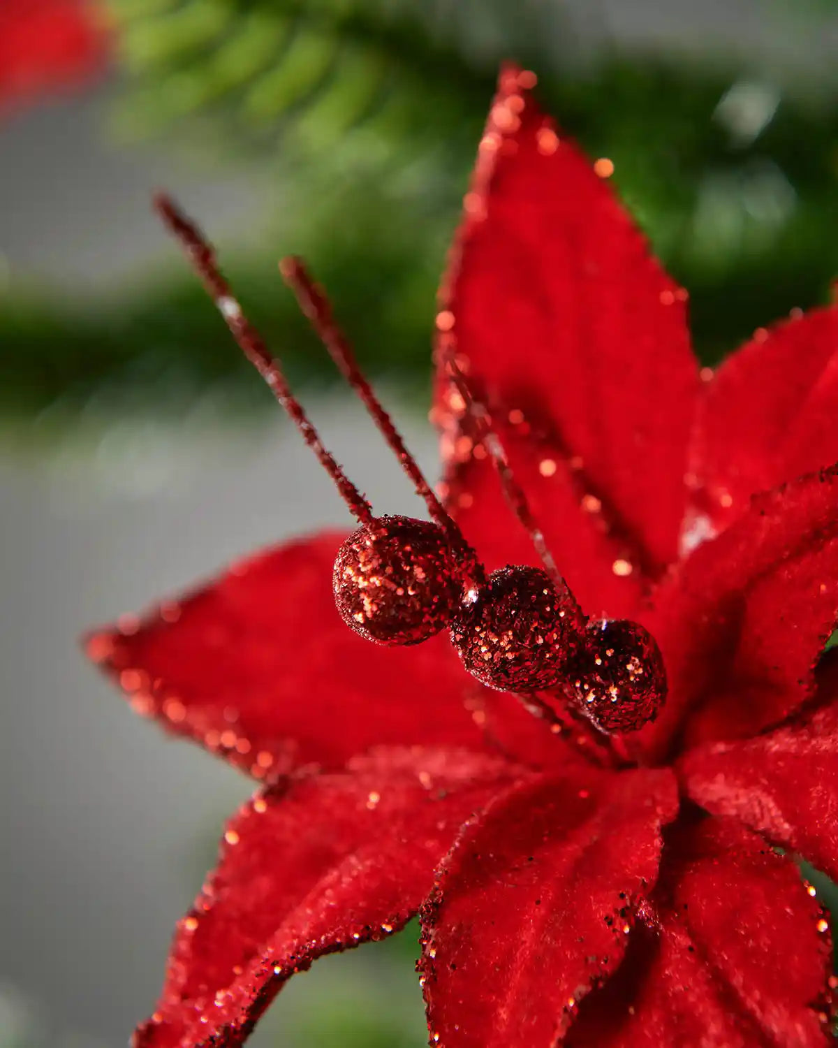 Close-up of a red poinsettia flower with glittery antlers on a blurred green background