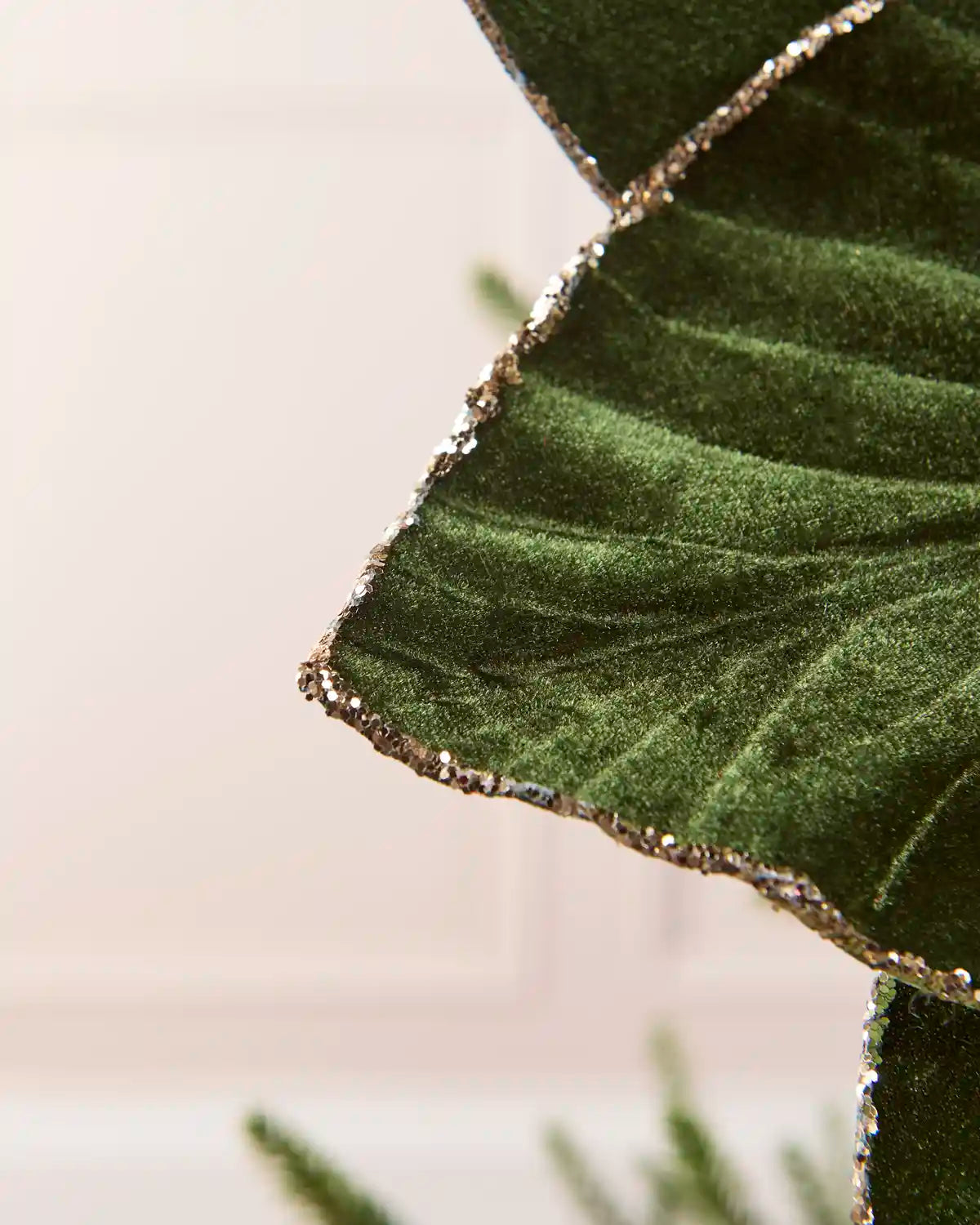 Close-up of a sage green velvet poinsettia petal, showcasing its soft texture, detailed veining and shimmering glittered edge
