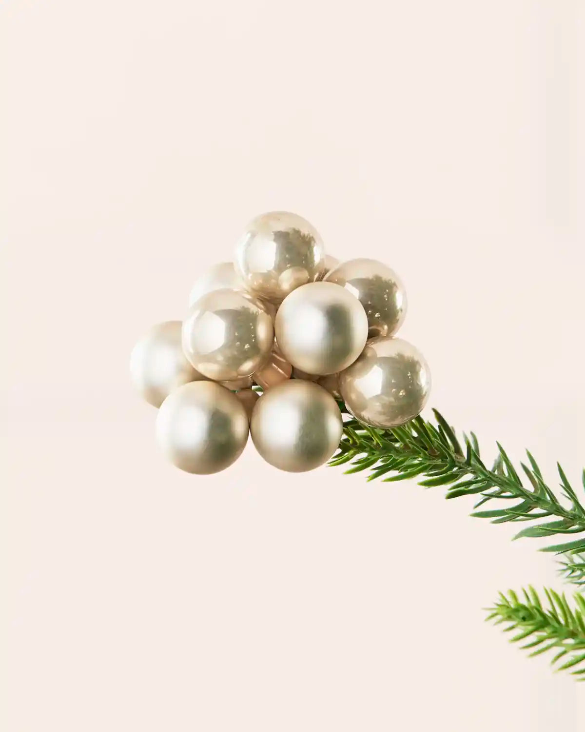 Close-up of an Latte glass berry cluster bauble attached to a Christmas tree branch.
