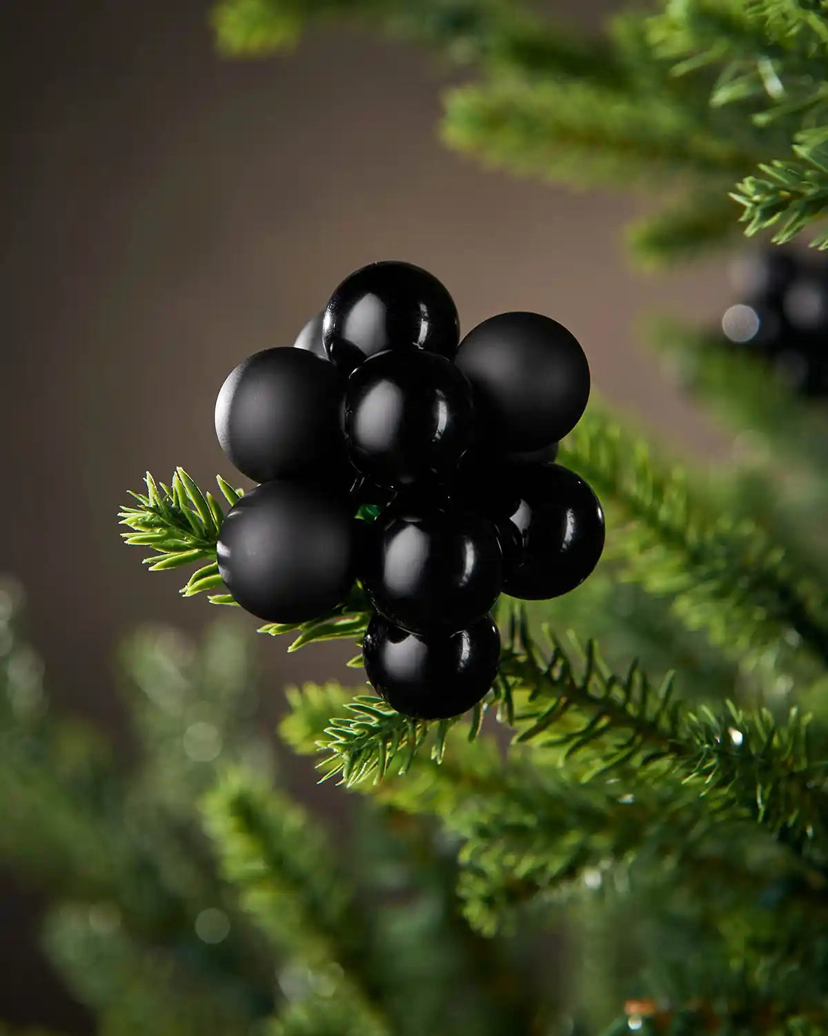 Close-up of black decorative berries on a green branch against a blurred background