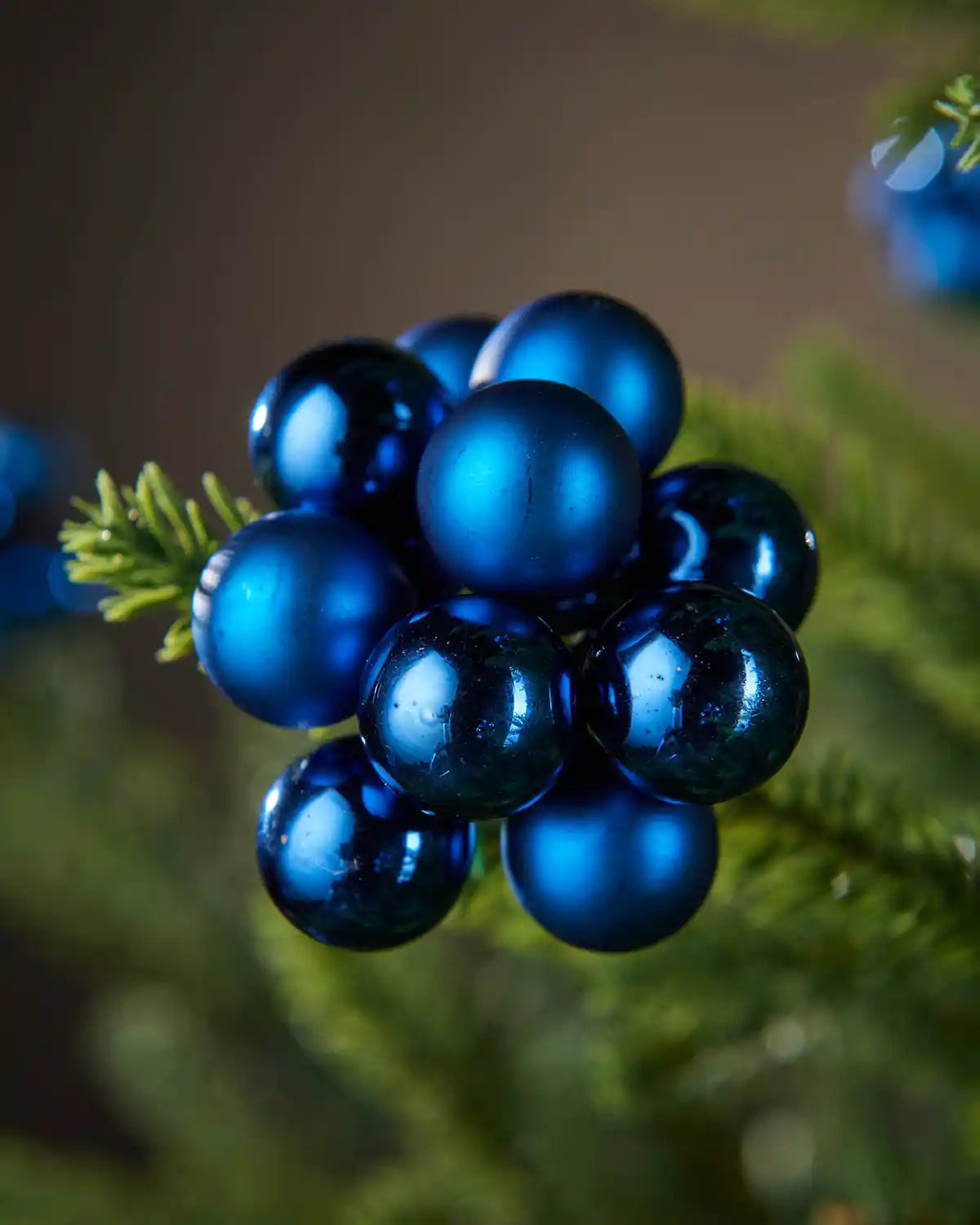 Close-up of blue berries on a branch with a blurred green background