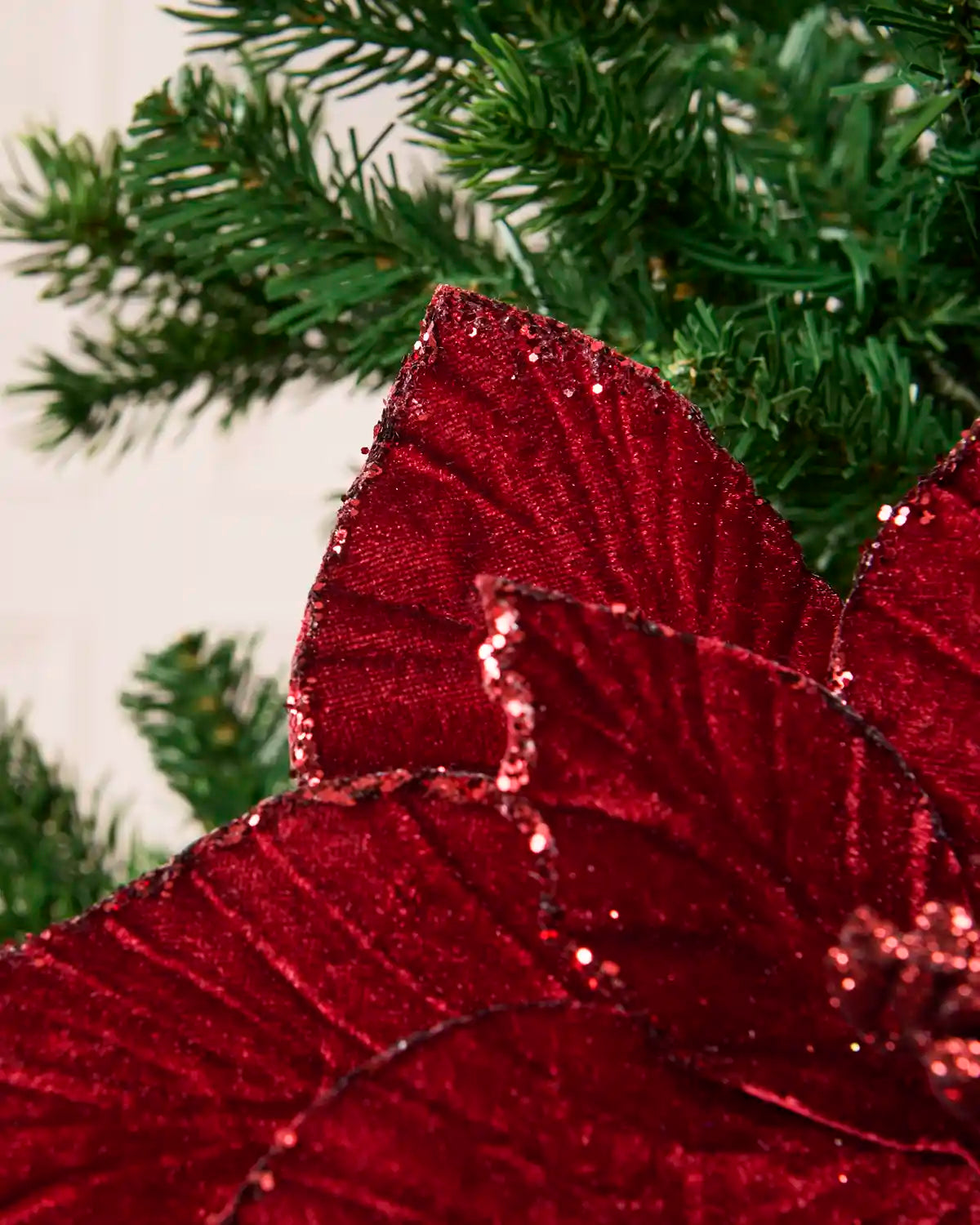 Close-up of burgundy velvet poinsettia petals showing their textured finish and glittered edges