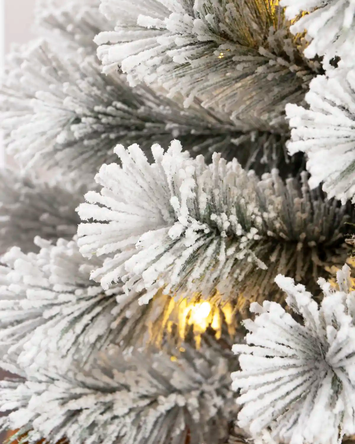 Close-up of flocked Christmas tree branches with warm white lights