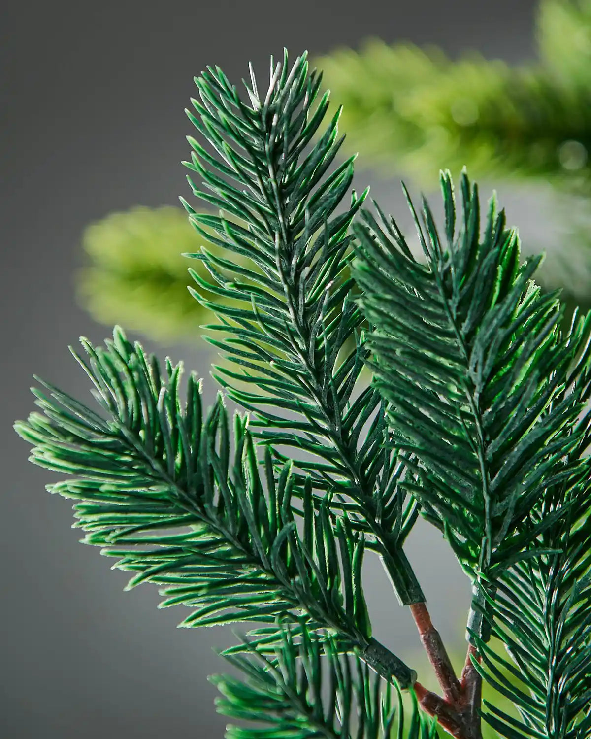 Close-up of frosted green artificial pine branches on a dark background