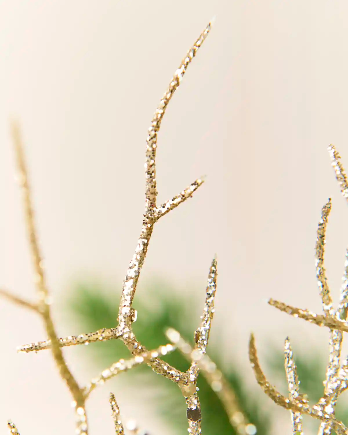 Close-up of glittery latte coloured decorative coral like ornaments against a soft cream background with a blurred green area behind.