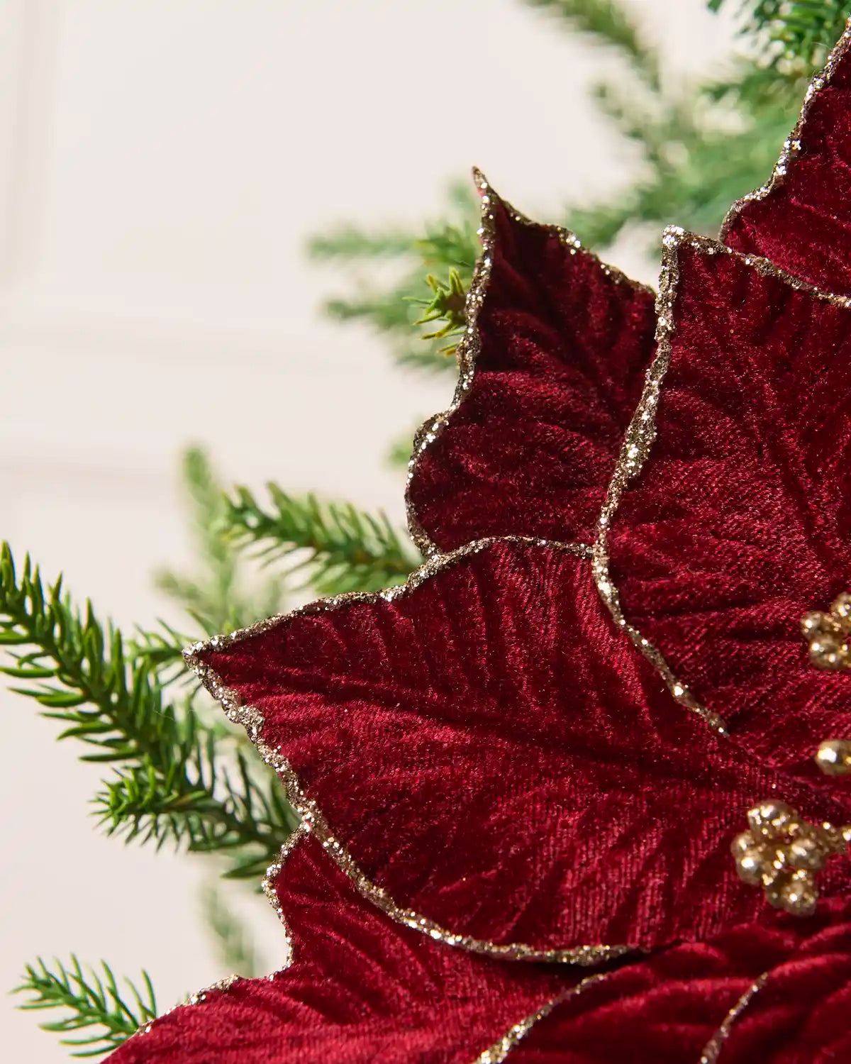 Close-up of layered burgundy poinsettia petals with shimmering gold glitter trim, set against green Christmas tree branches.

