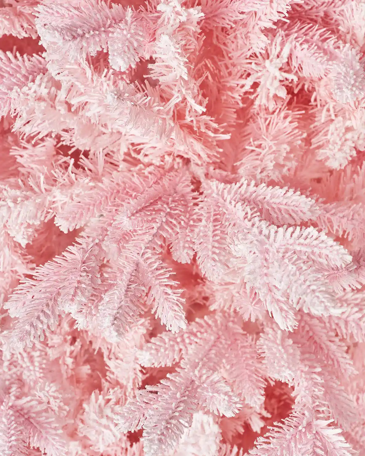 Close-up of pink PVC and PE tips of a Christmas tree