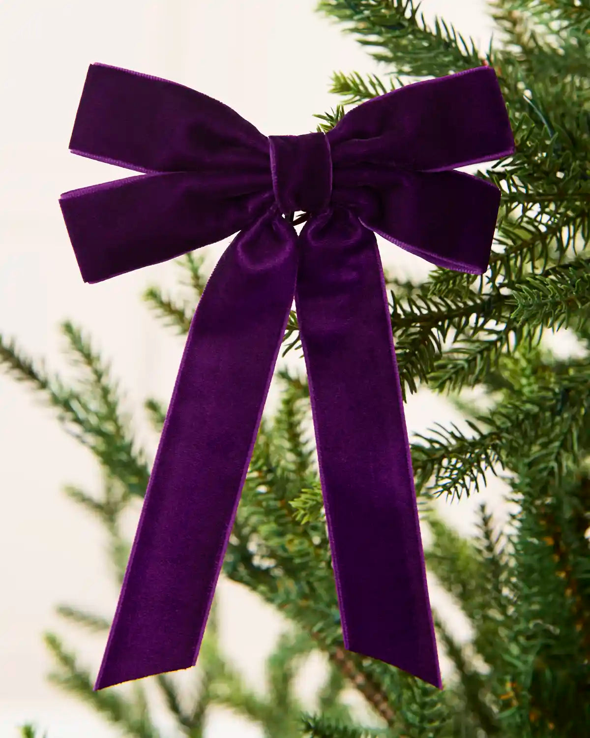 Close-up of purple velvet Double Bow attached to a Christmas tree branch