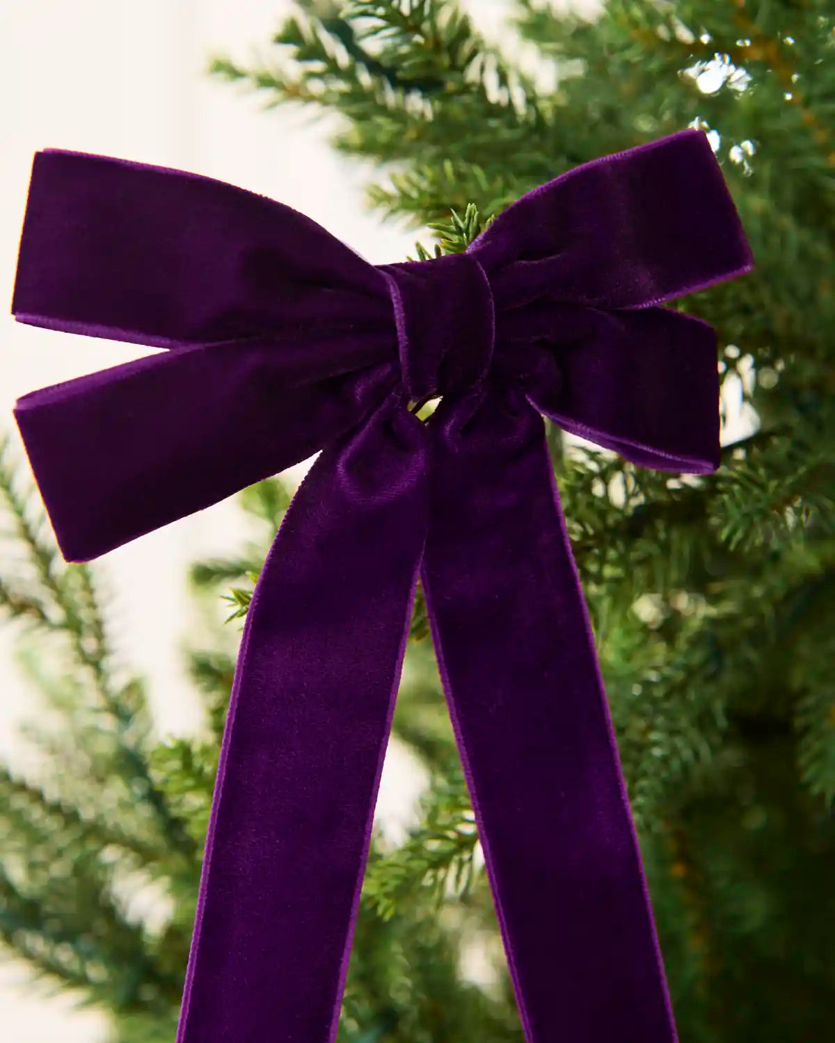 Close-up of purple velvet Double Bow placed on Christmas tree branch tip 