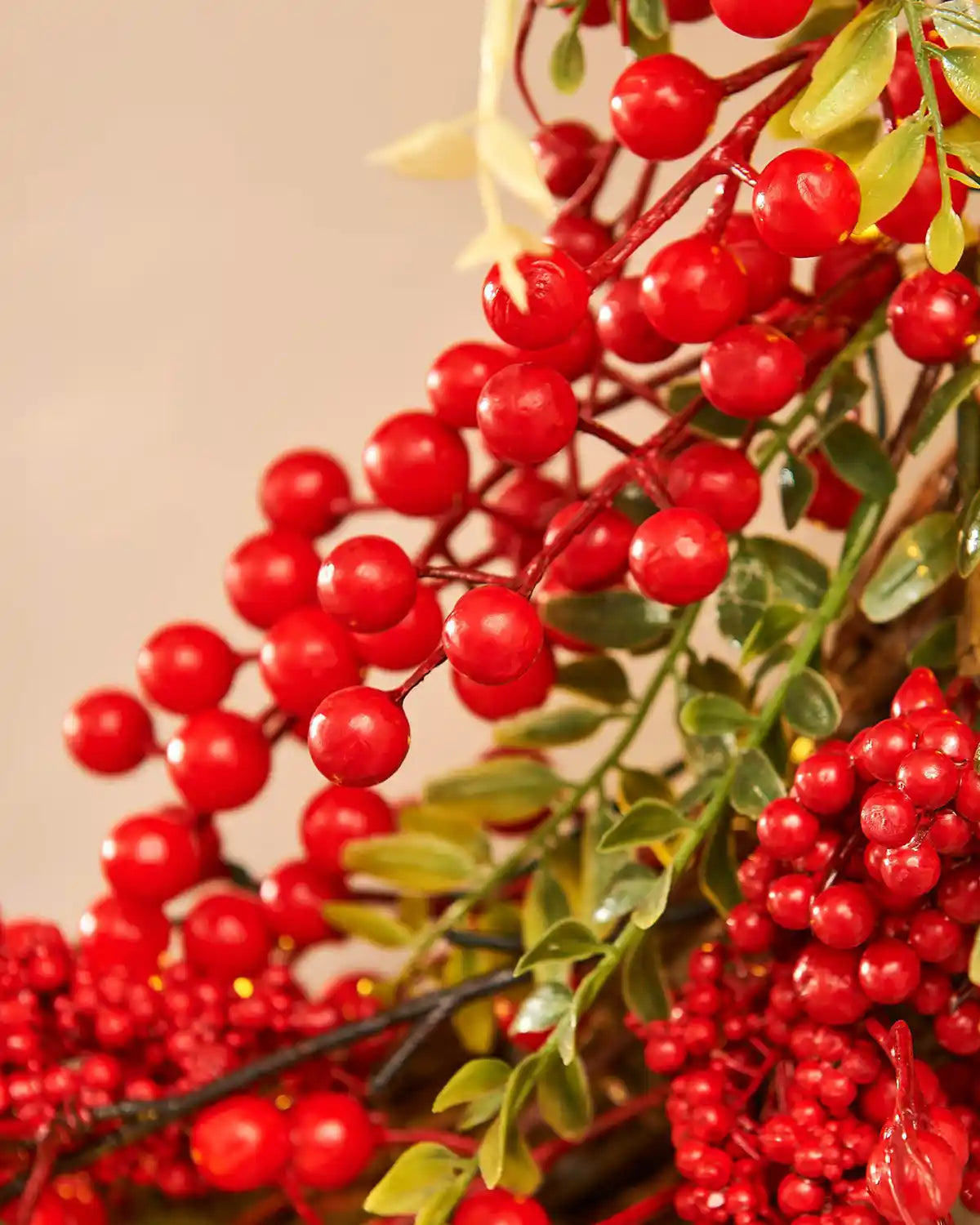 Close-up of red berries on a beige background