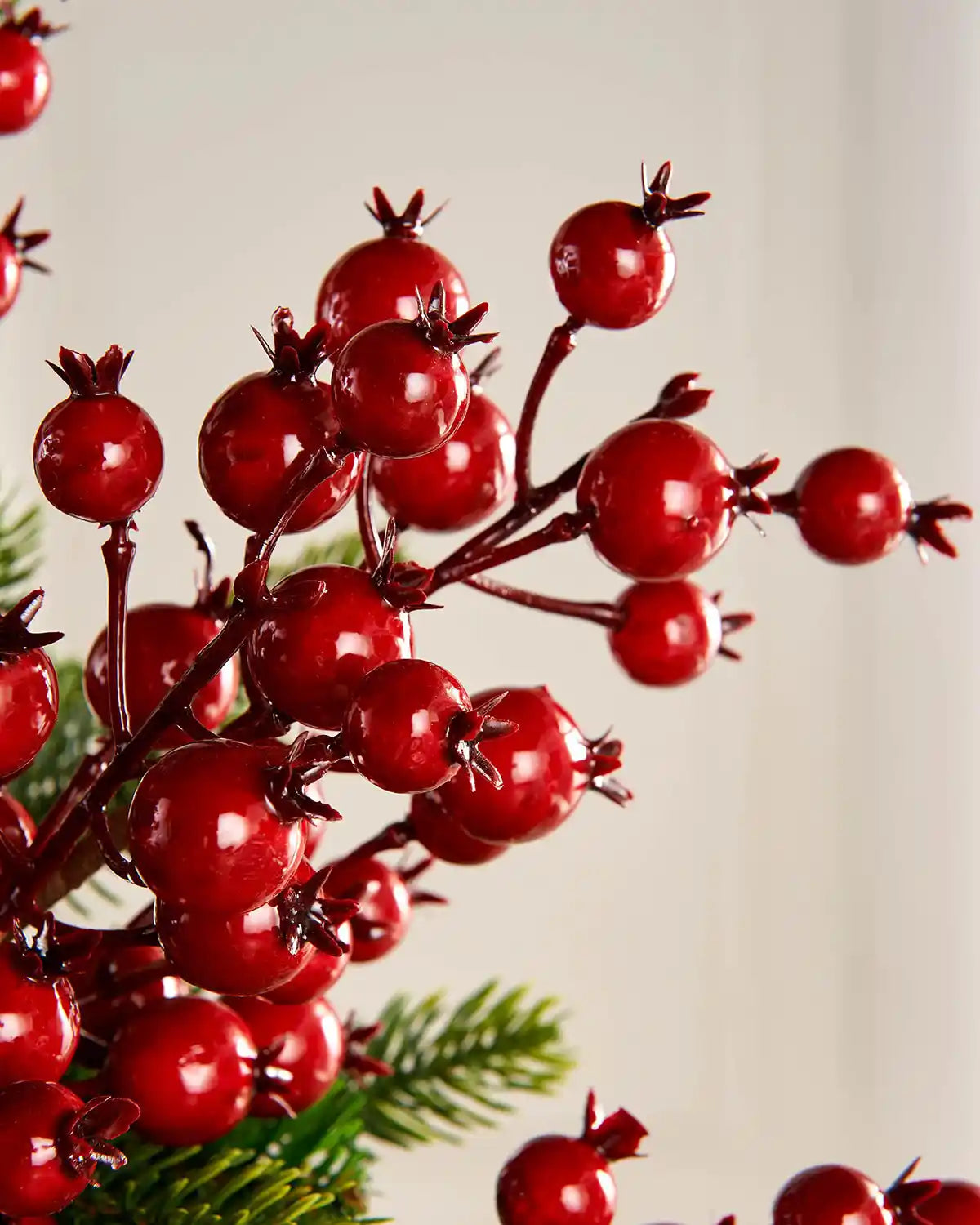 Close-up of red berries on a branch with a blurred background