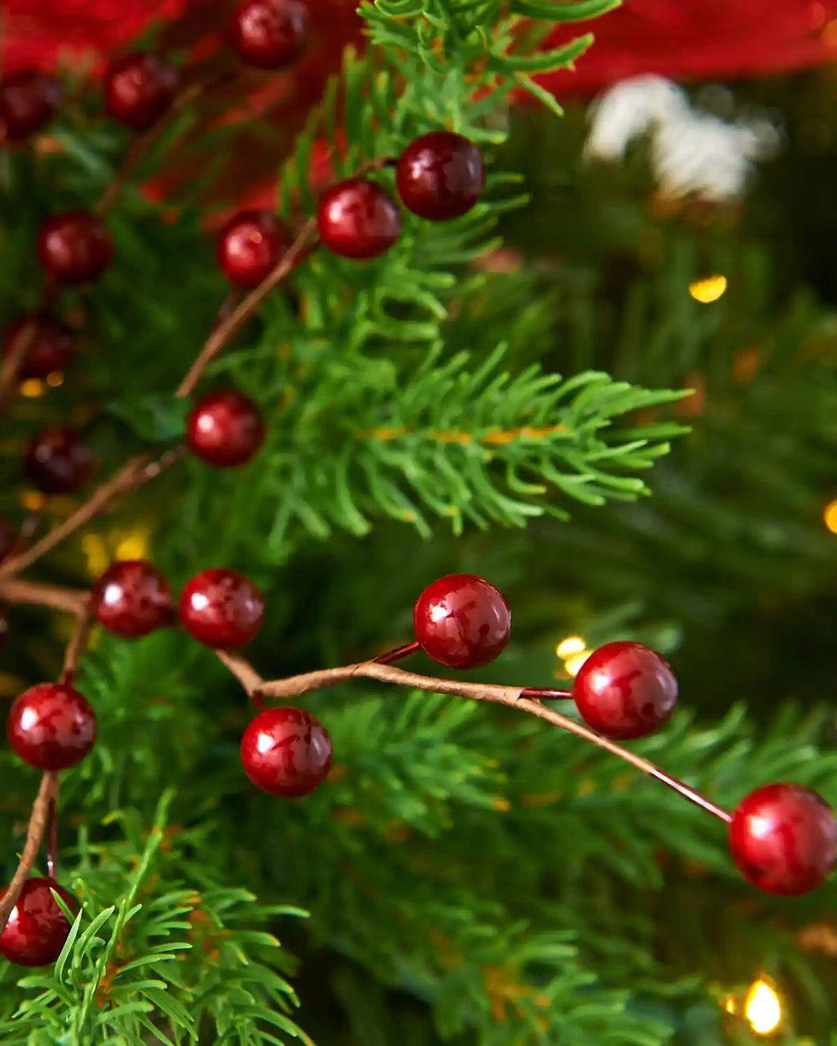 Close-up of red berries on a green branch with blurred lights in the background