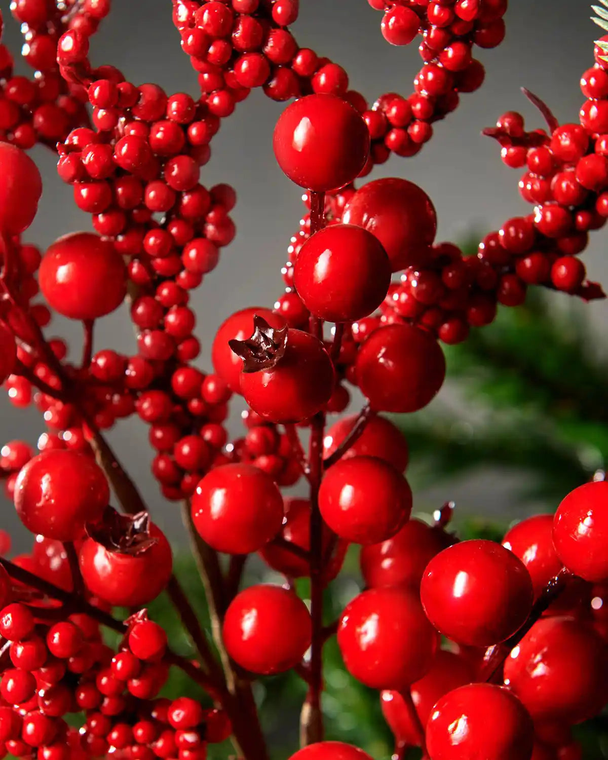 Close-up of red berries with a blurred green background