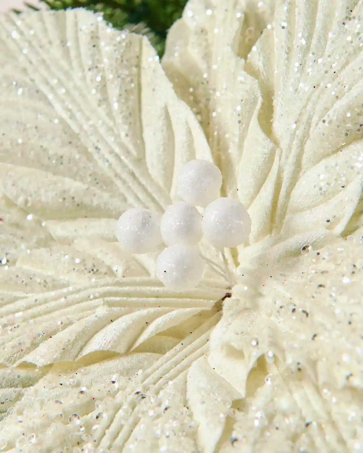 Close-up of the cream glitter poinsettia petals with white decorative berries