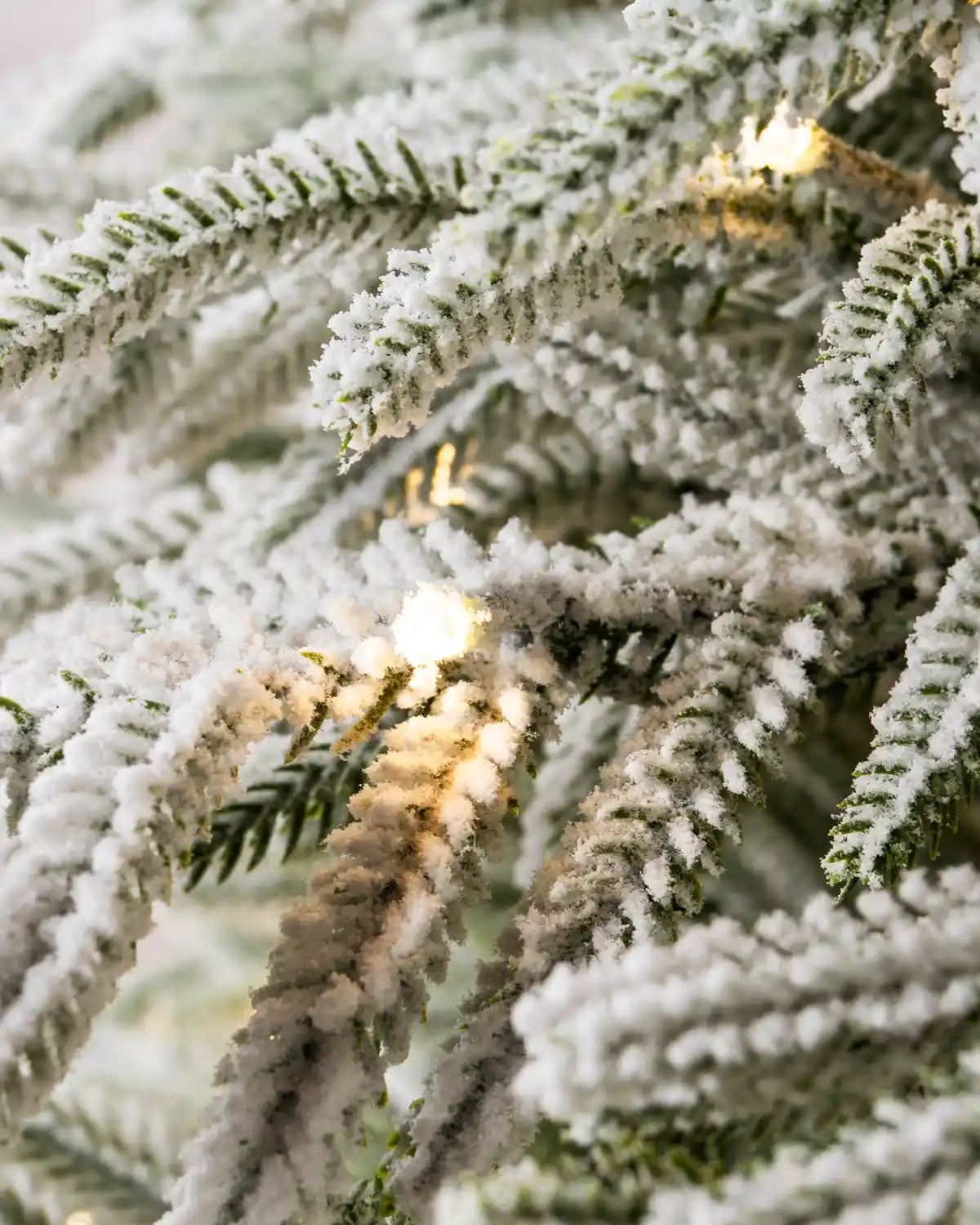 Close-up of the flocked Christmas tree’s branches