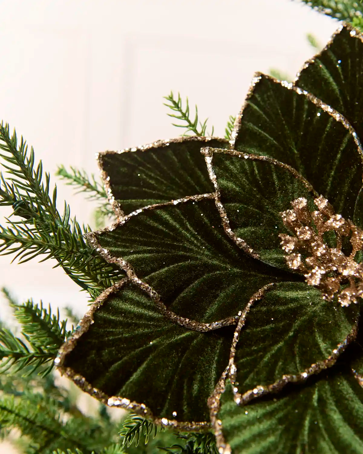 Close-up of the sparkling center surrounded by Sage Green velvet poinsettia petals with glittered edges
