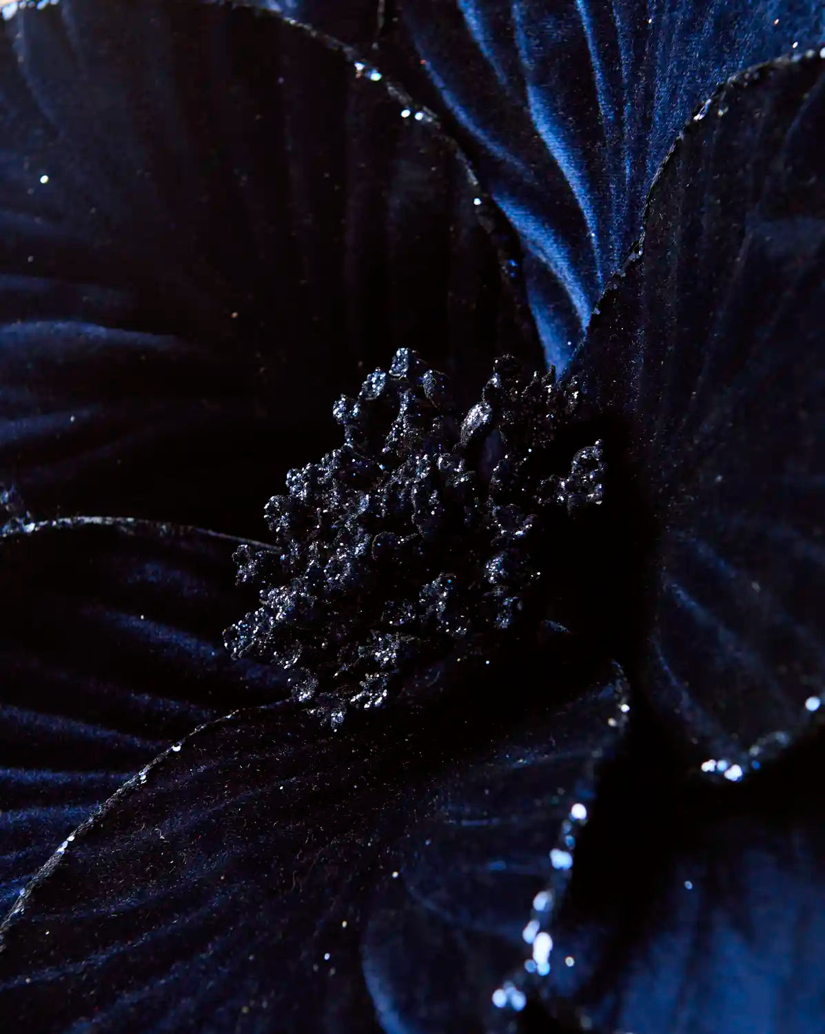Close-up of the sparkling center surrounded by Navy velvet poinsettia petals with glittered edges
