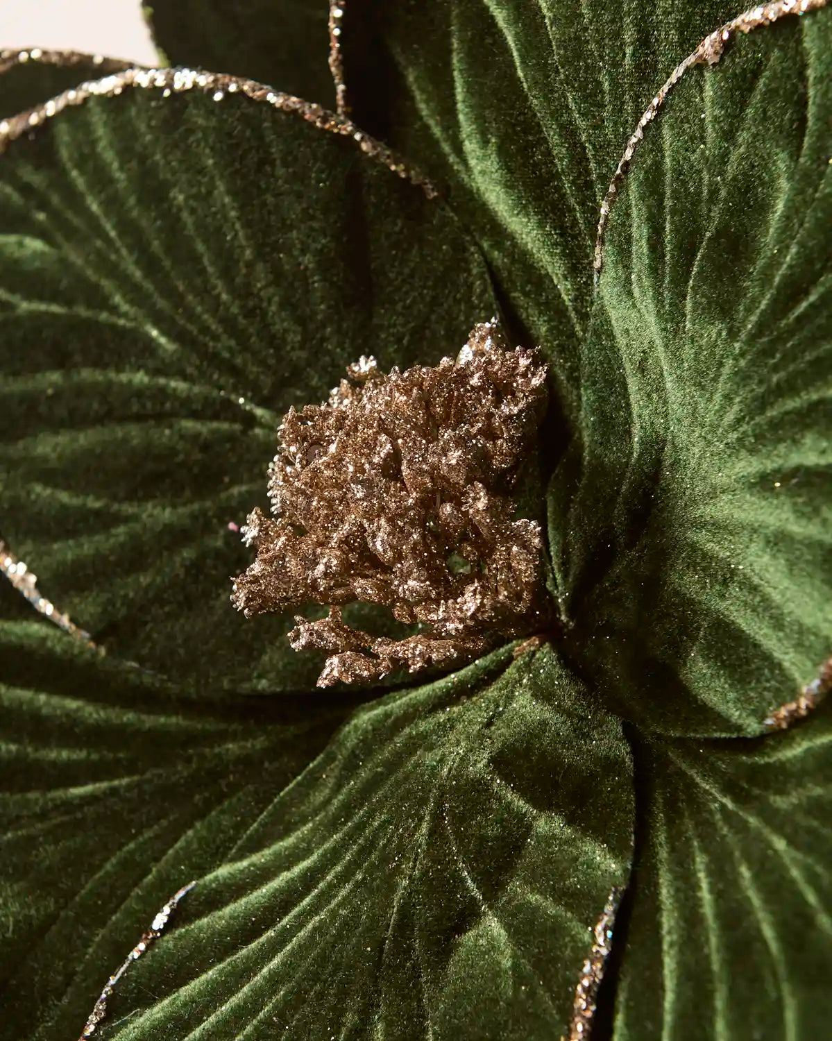 Close-up of the sparkling gold center surrounded by rich sage green velvet poinsettia petals with glittered edges
