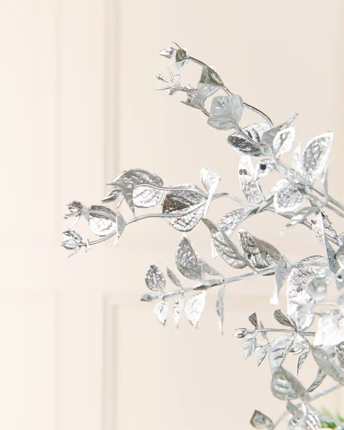 Close-up view of the Silver Foliage Spray showing individual Silver leaves and fine branching details
