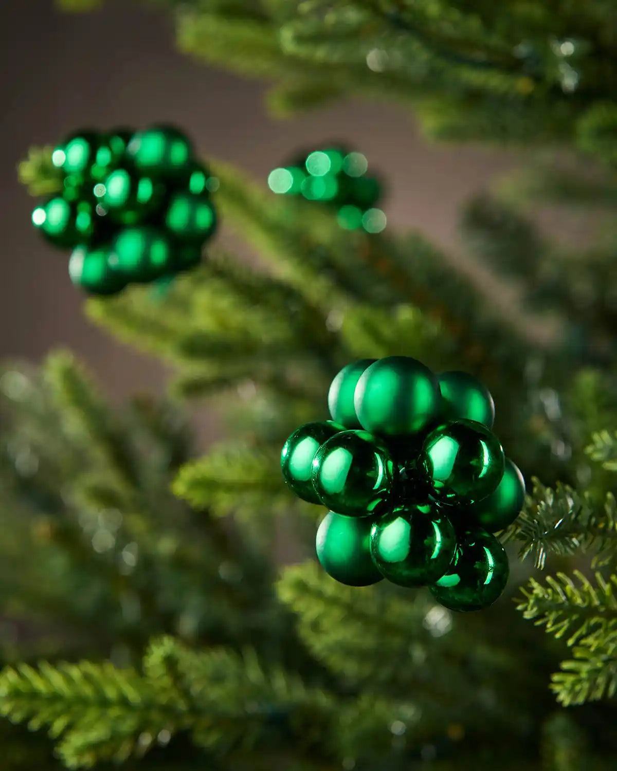 Close up Christmas green berry cluster baubles on a Christmas tree branch with a brown background