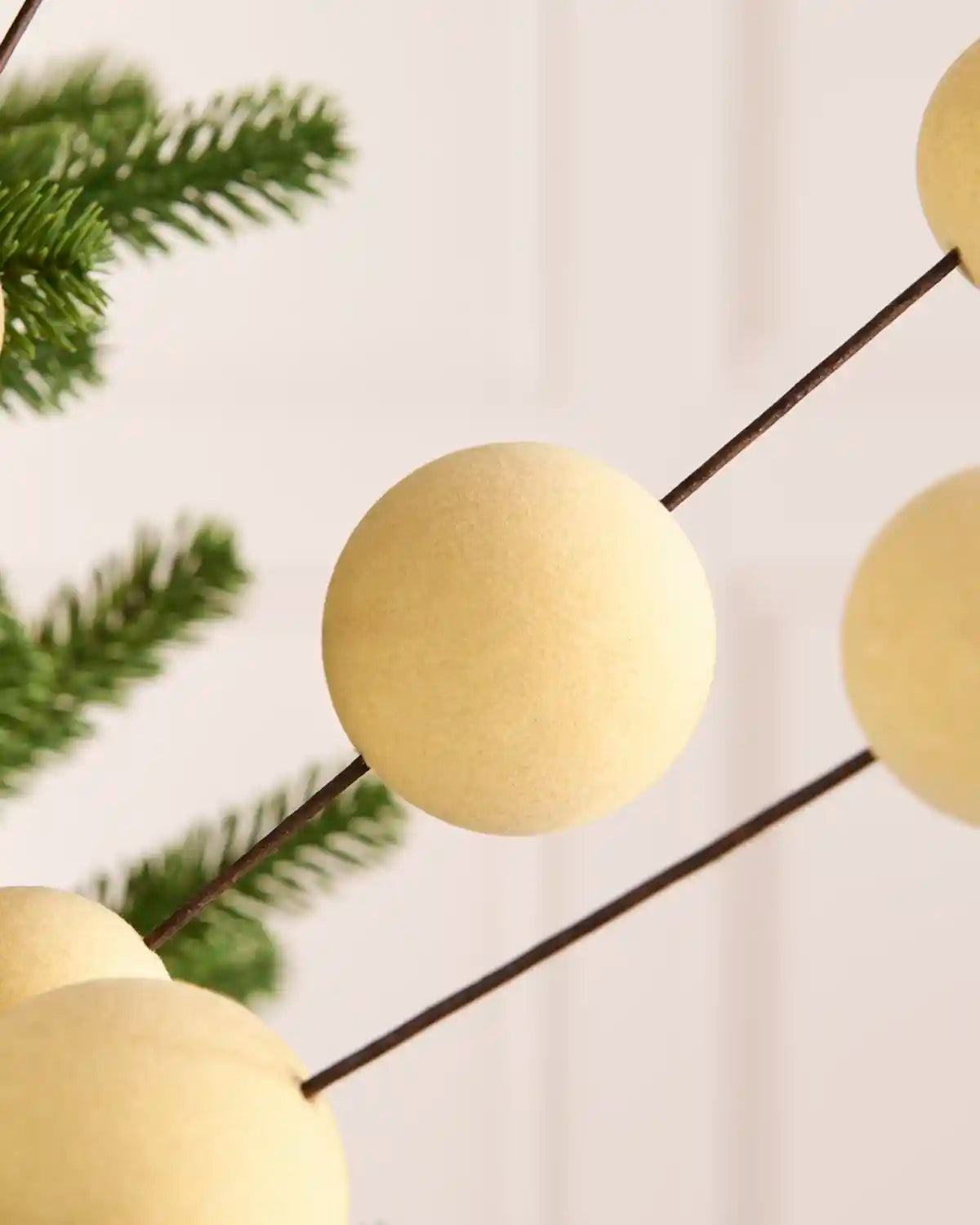 Close up Latte coloured velvet bauble pick on dark brown stems against a light background