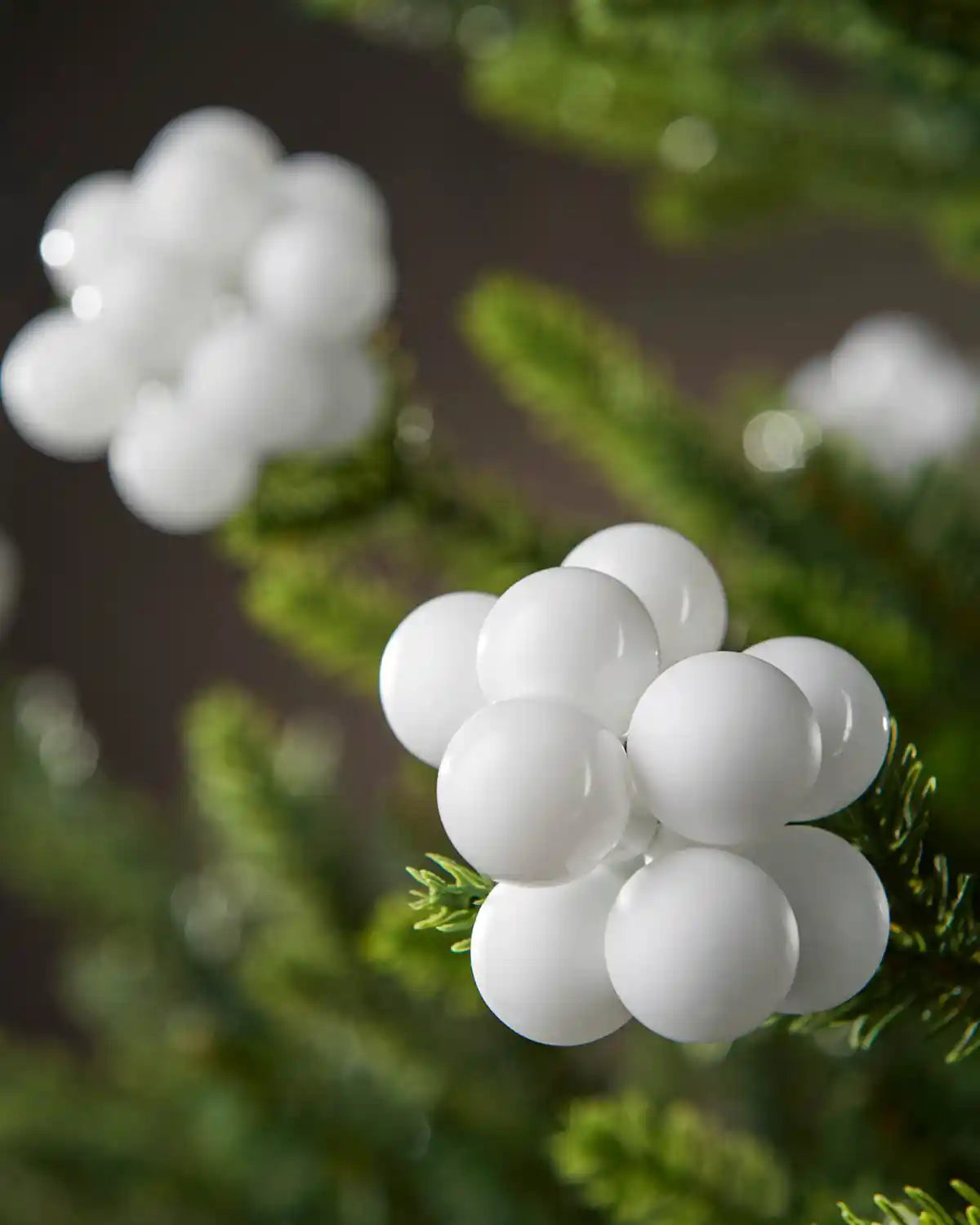Close up White bauble berry clusters on a Christmas tree branch against a brown background