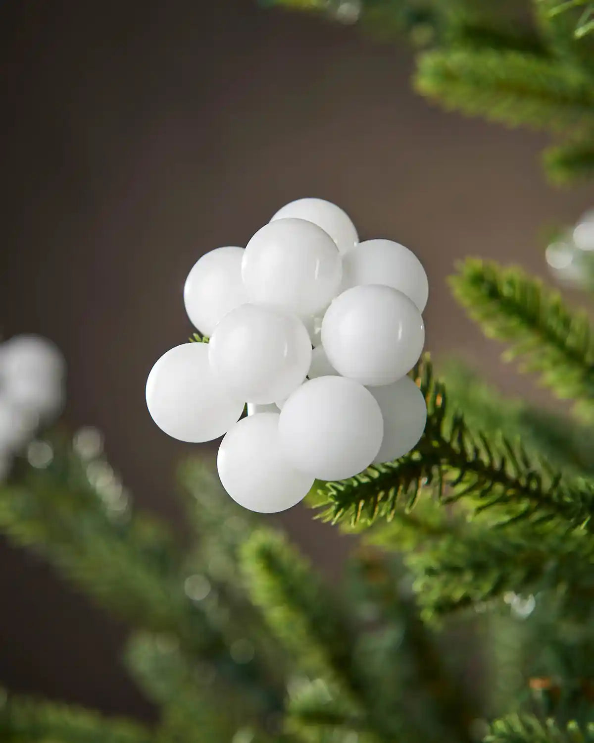 Close up White gloss bauble berry clusters on a Christmas tree branch against a brown background