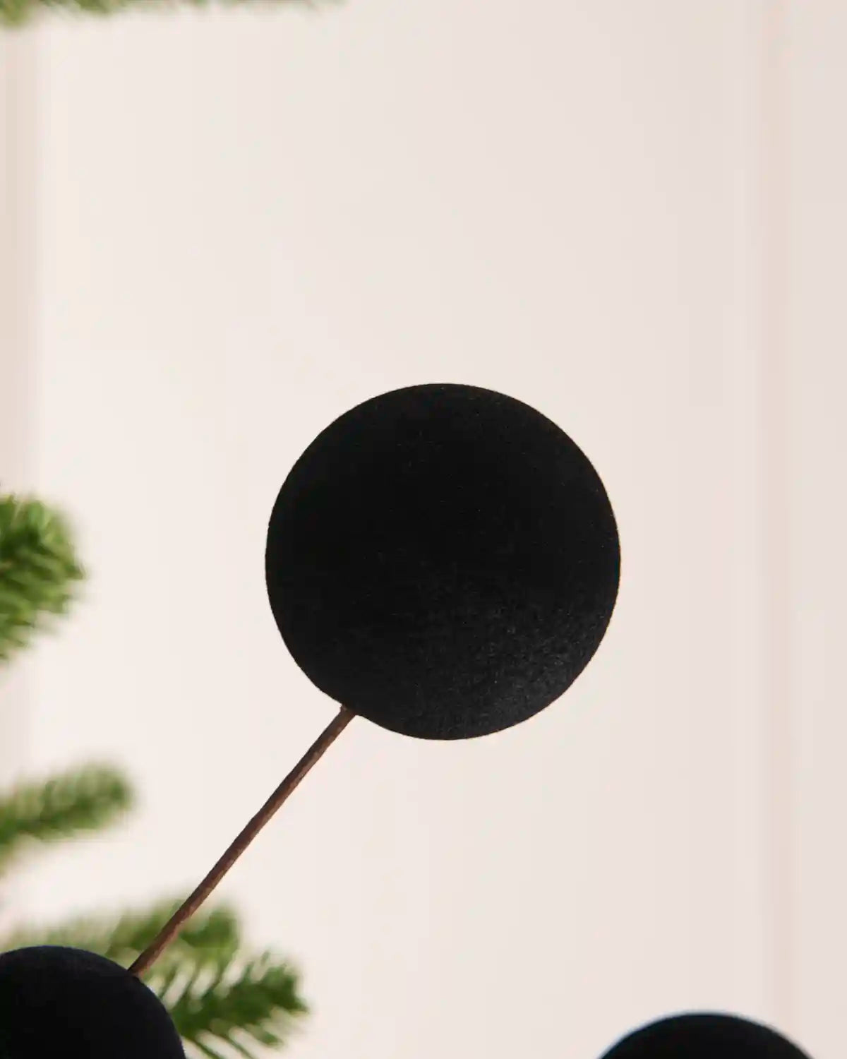 Close up a single Black velvet bauble Christmas tree pick on thin brown stems, shown hanging against green pine tree branches with a soft white background.
