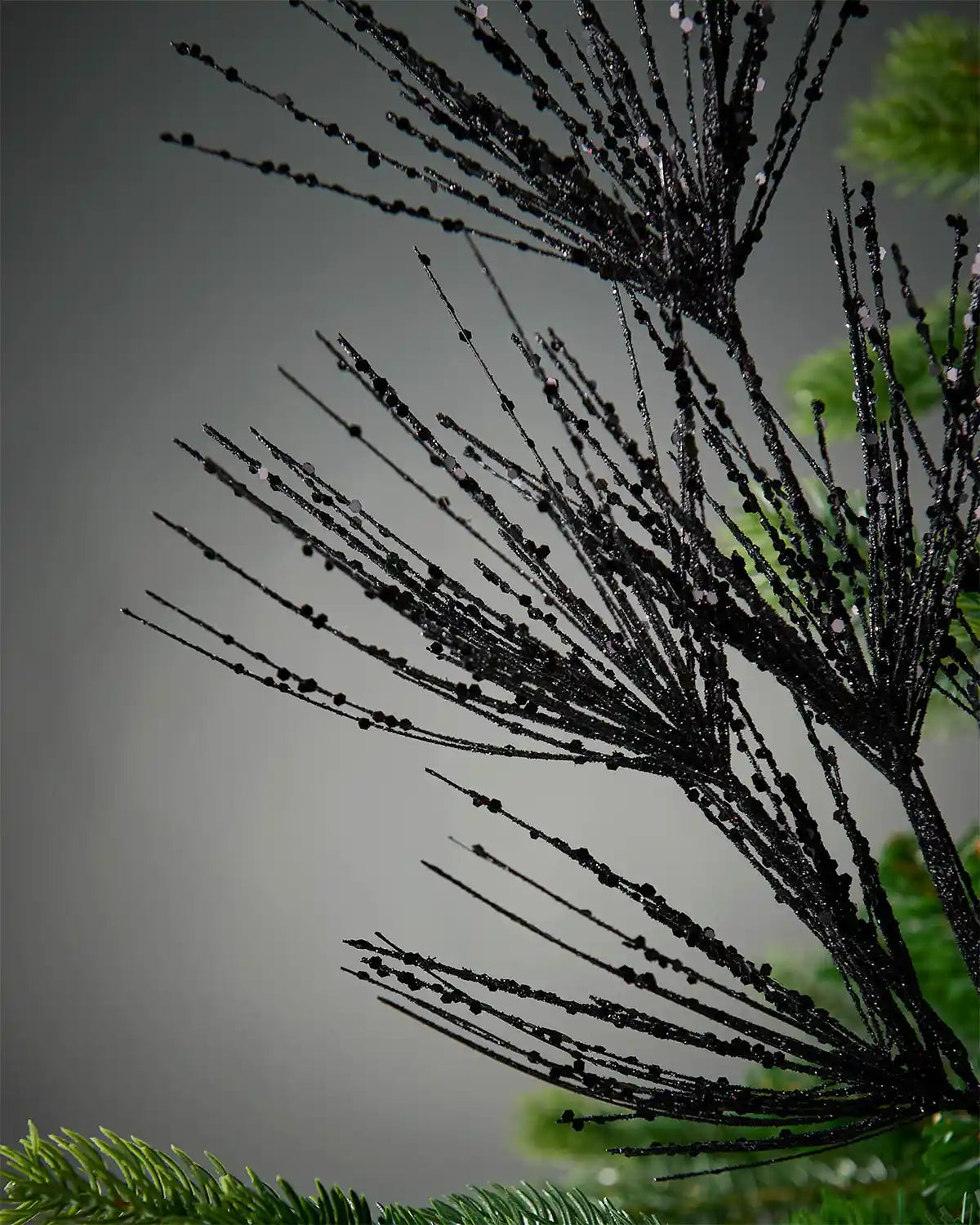 Close-up of black glitter firework spray attached to Christmas tree in front of grey background