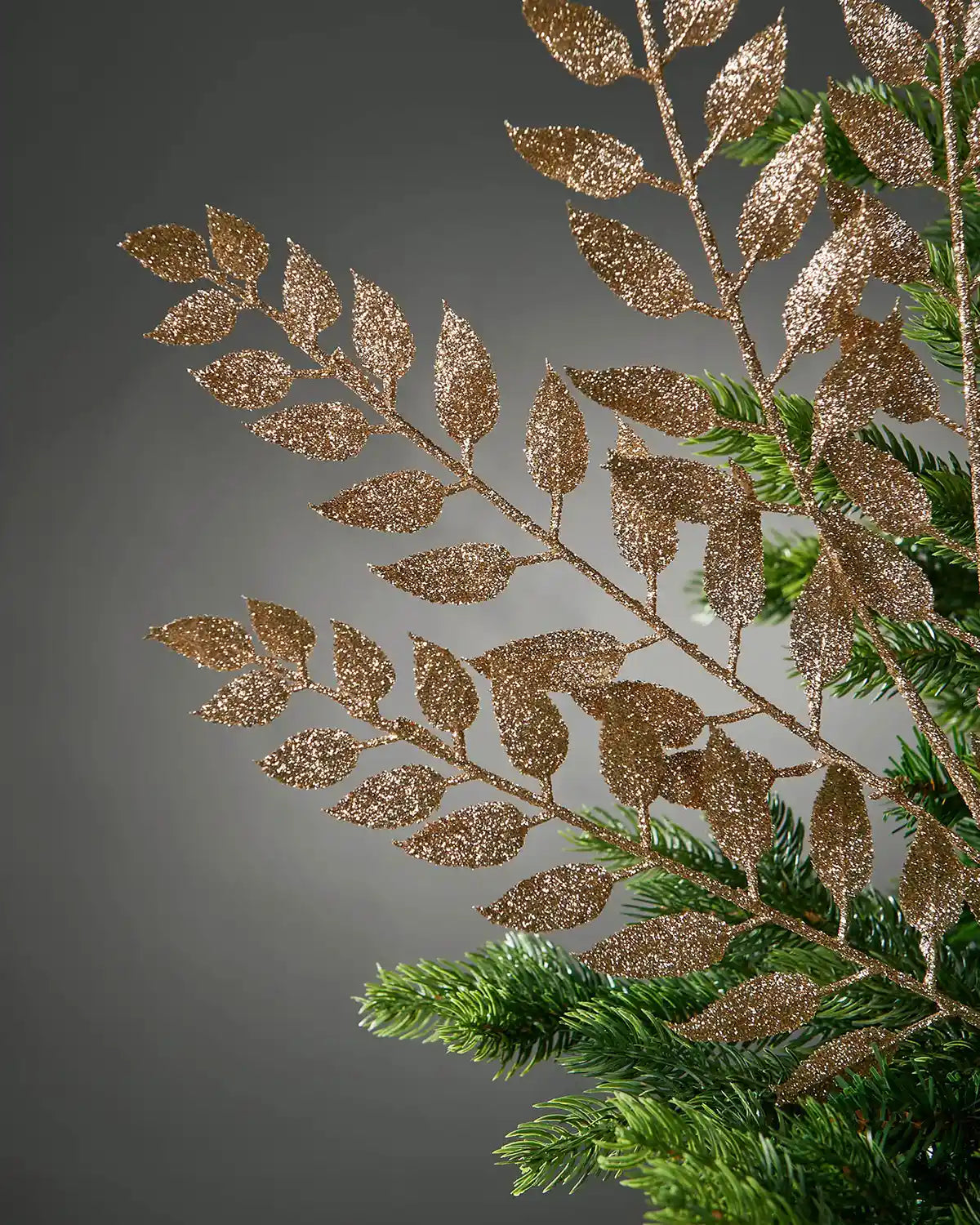 Close up branch with gold and green leaves on a gray background