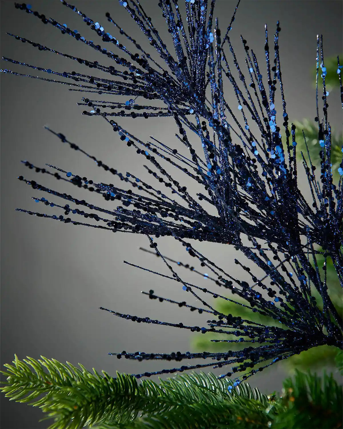 Close-up of navy blue glitter firework spray inside tree with grey background